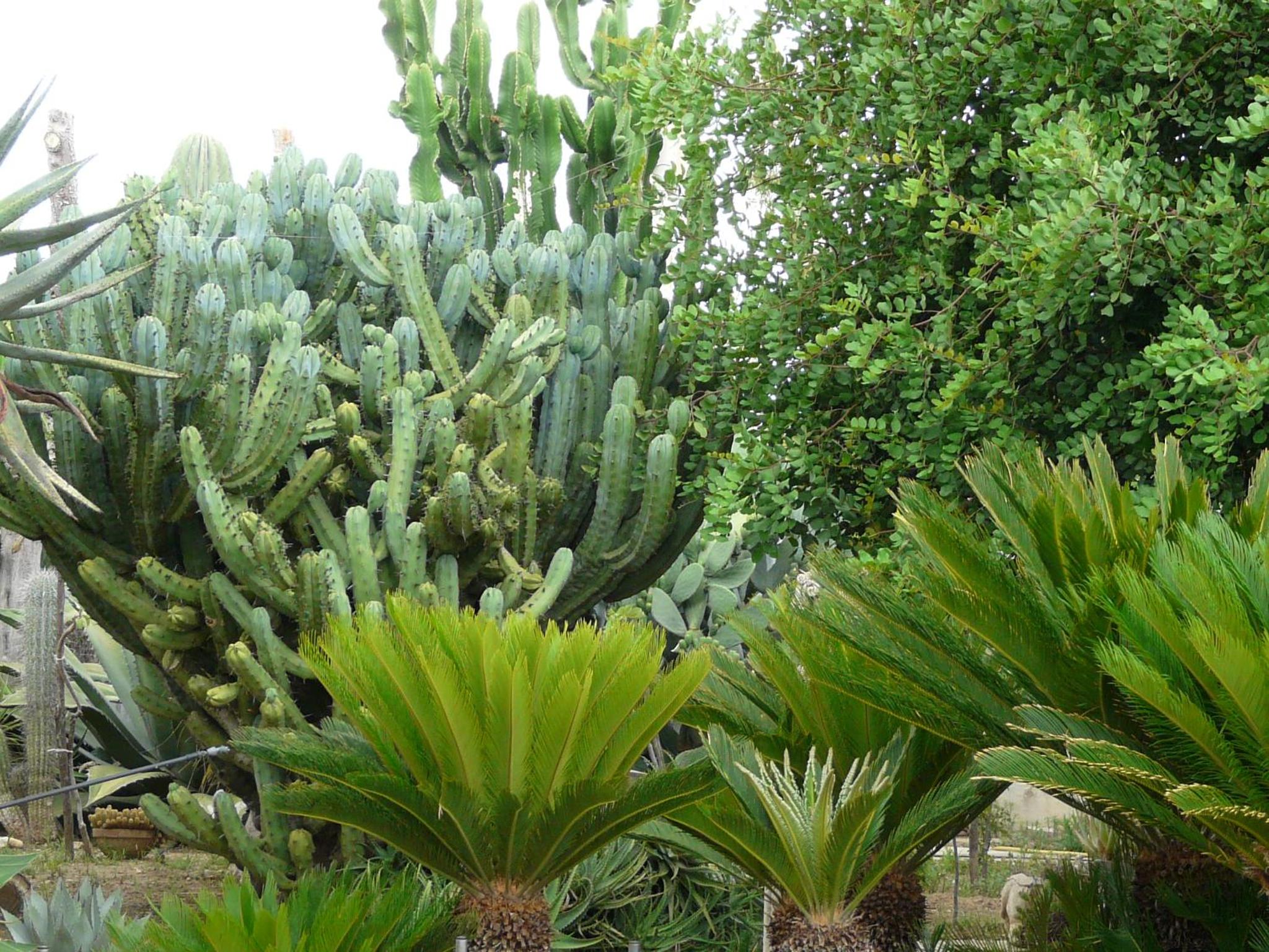 Photo 22