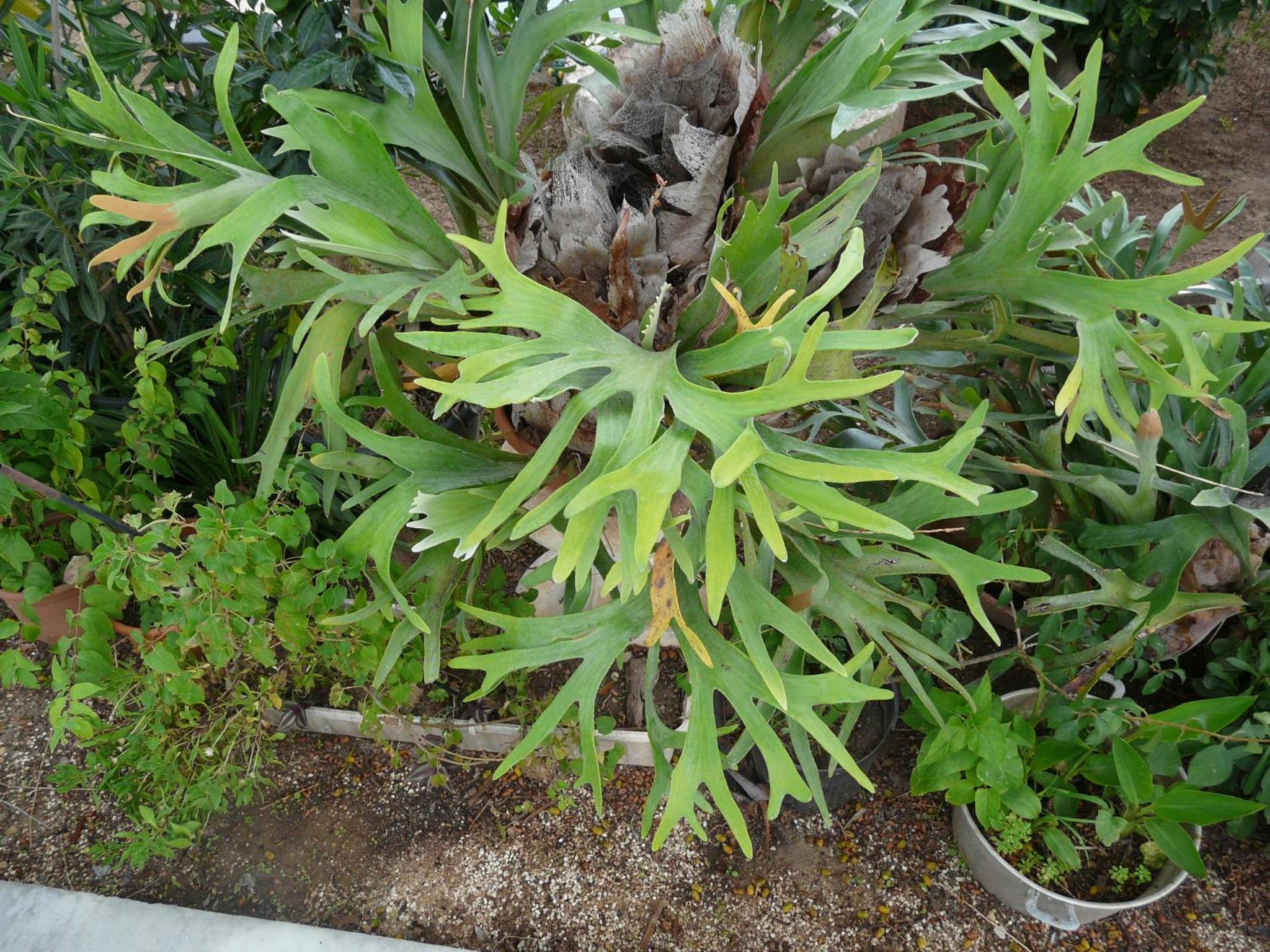 Photo 23