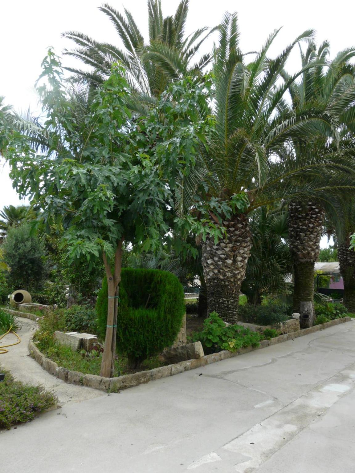 Photo 33