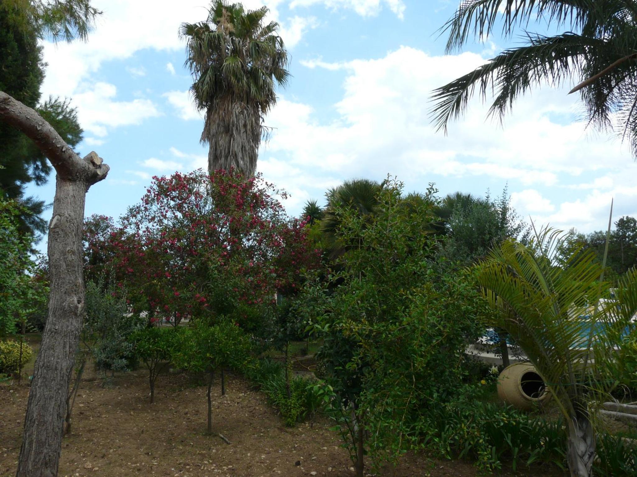 Photo 36