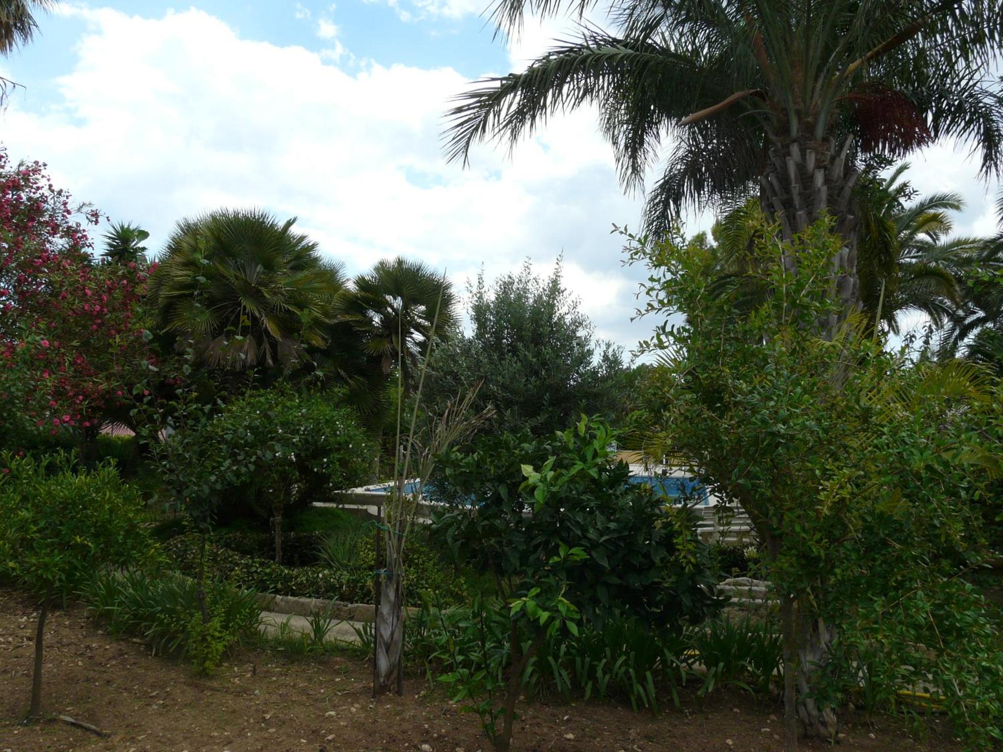 Photo 37