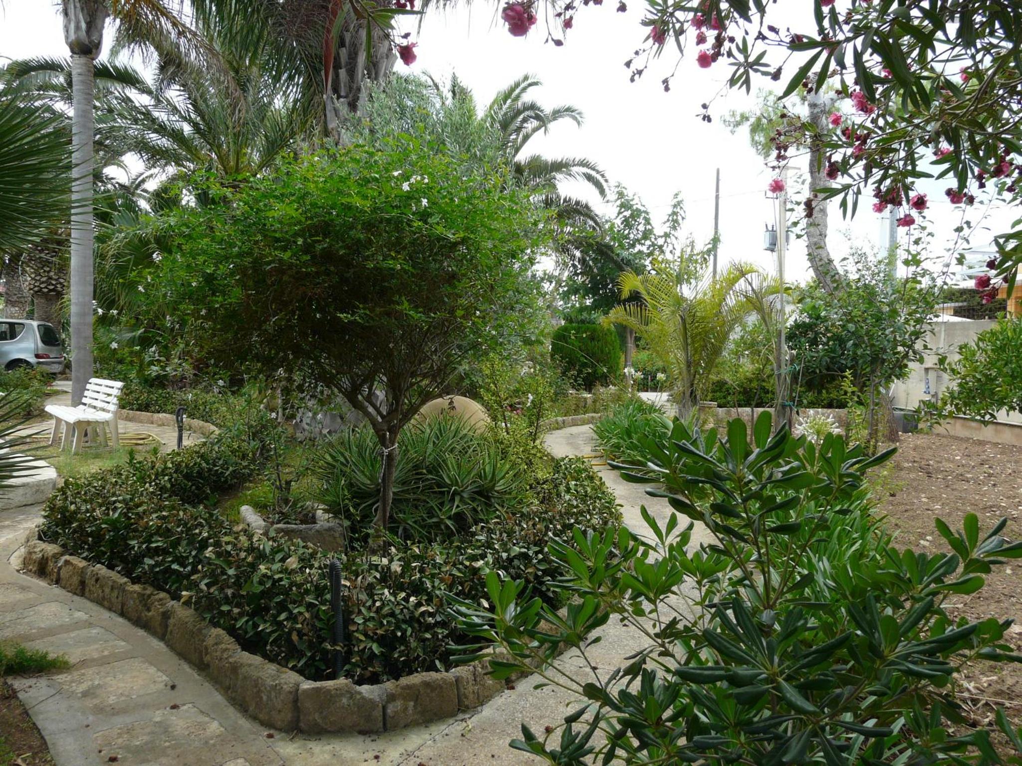 Photo 38