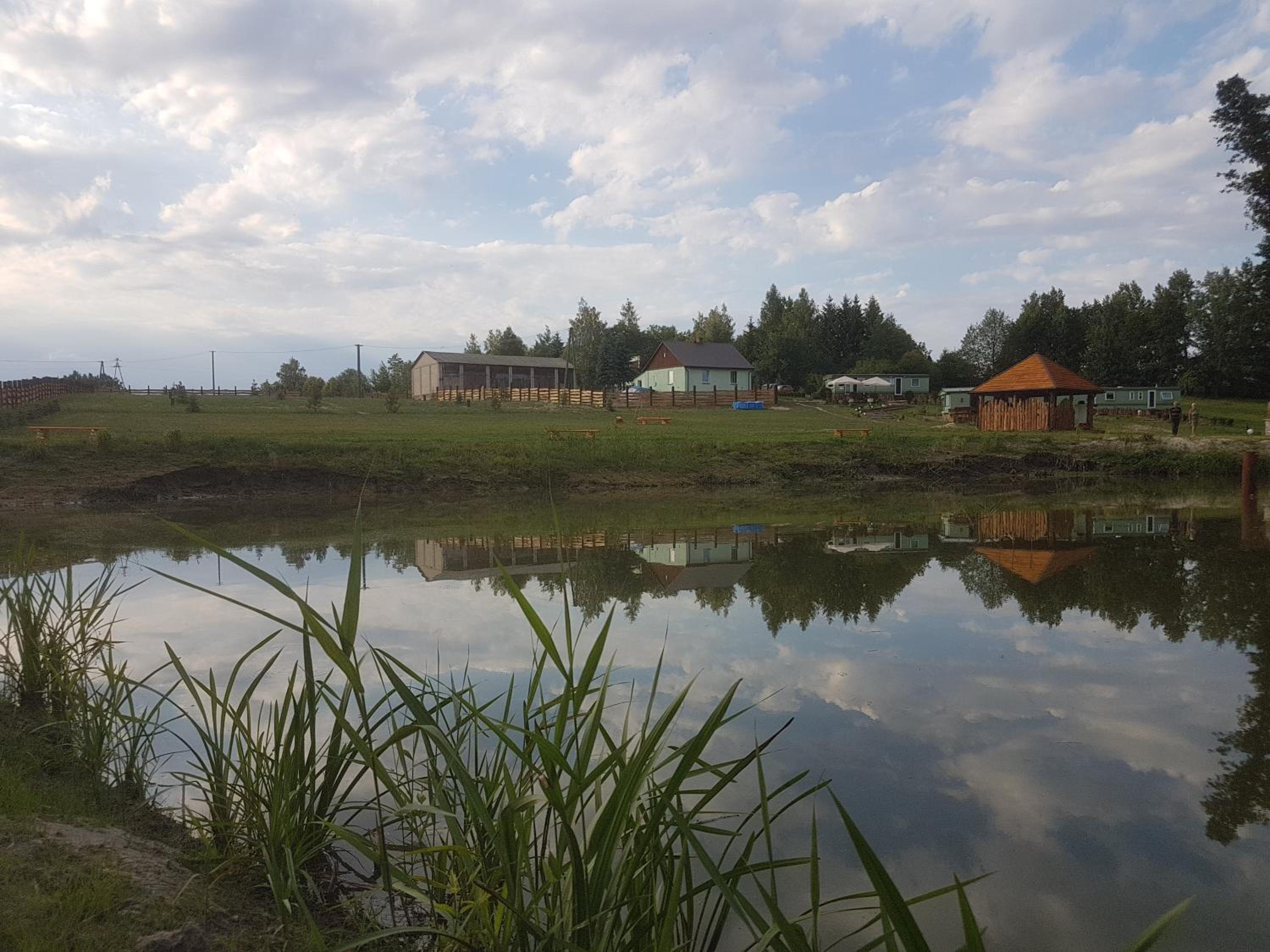 Photo 46