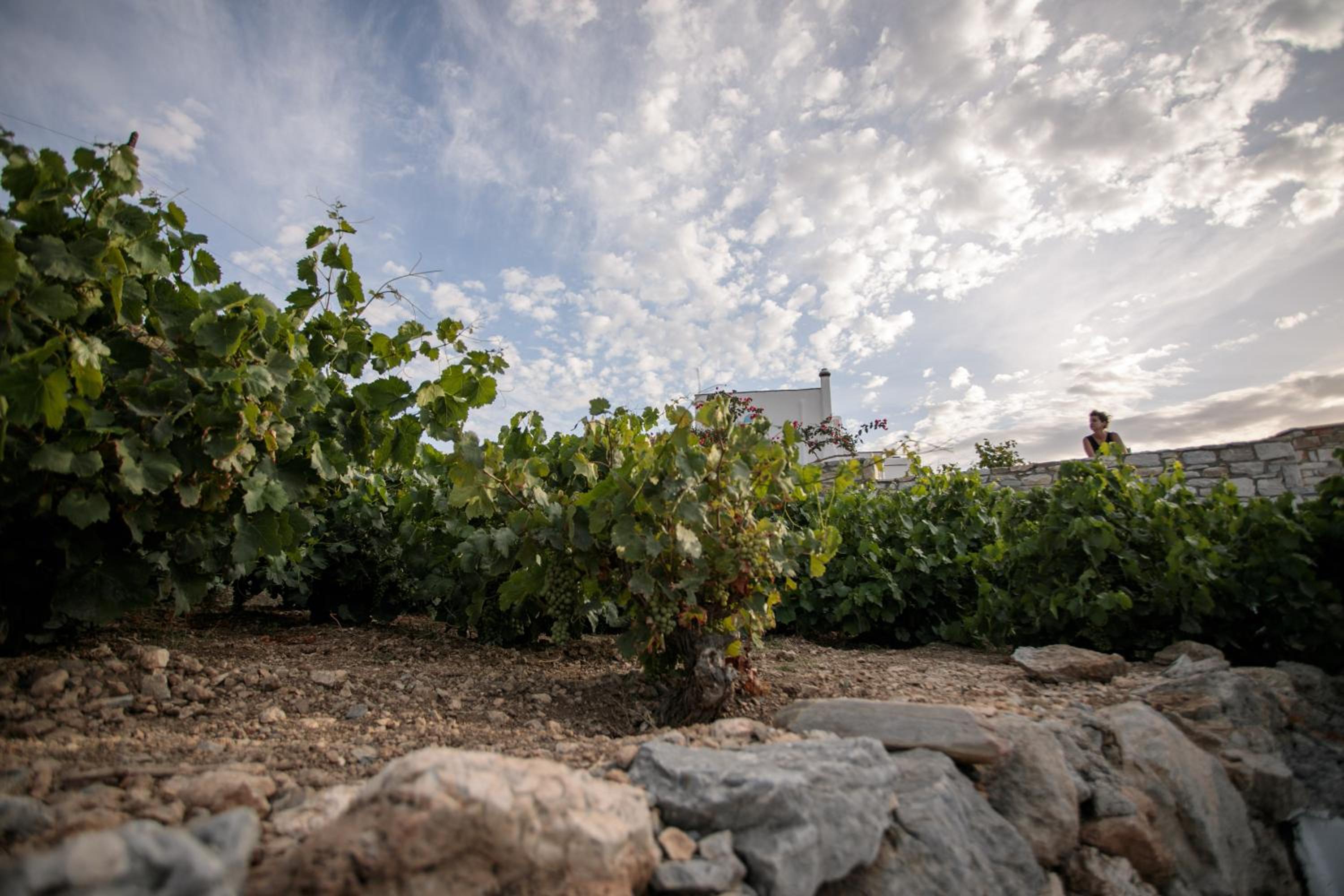 Villa Athina