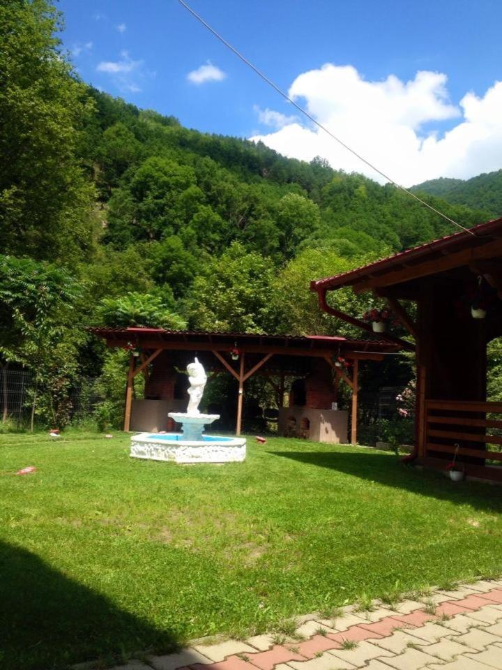 Photo 24
