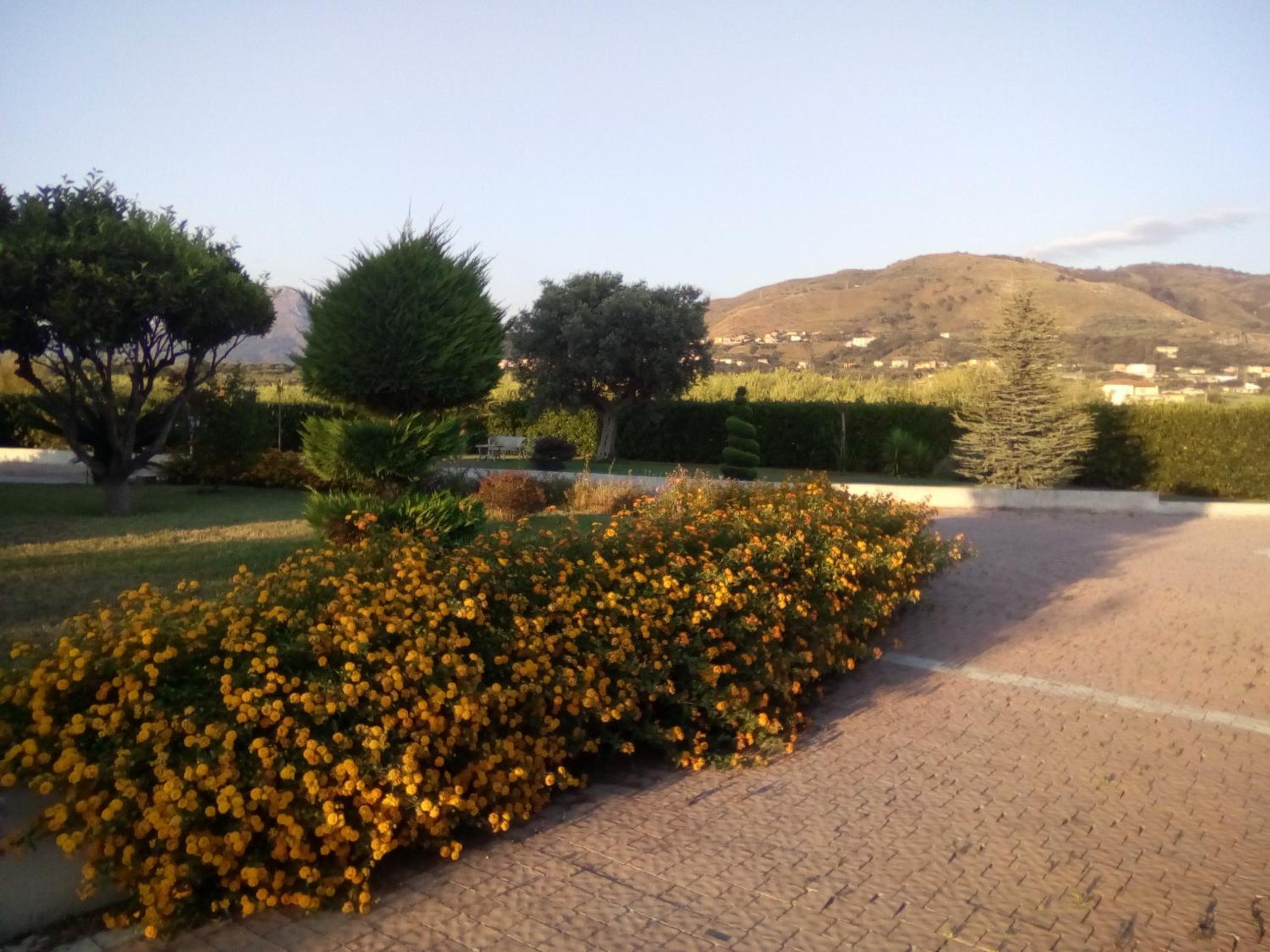 Photo 28