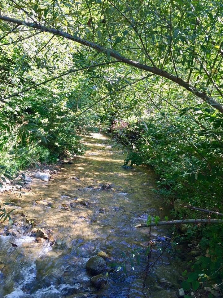 Photo 23