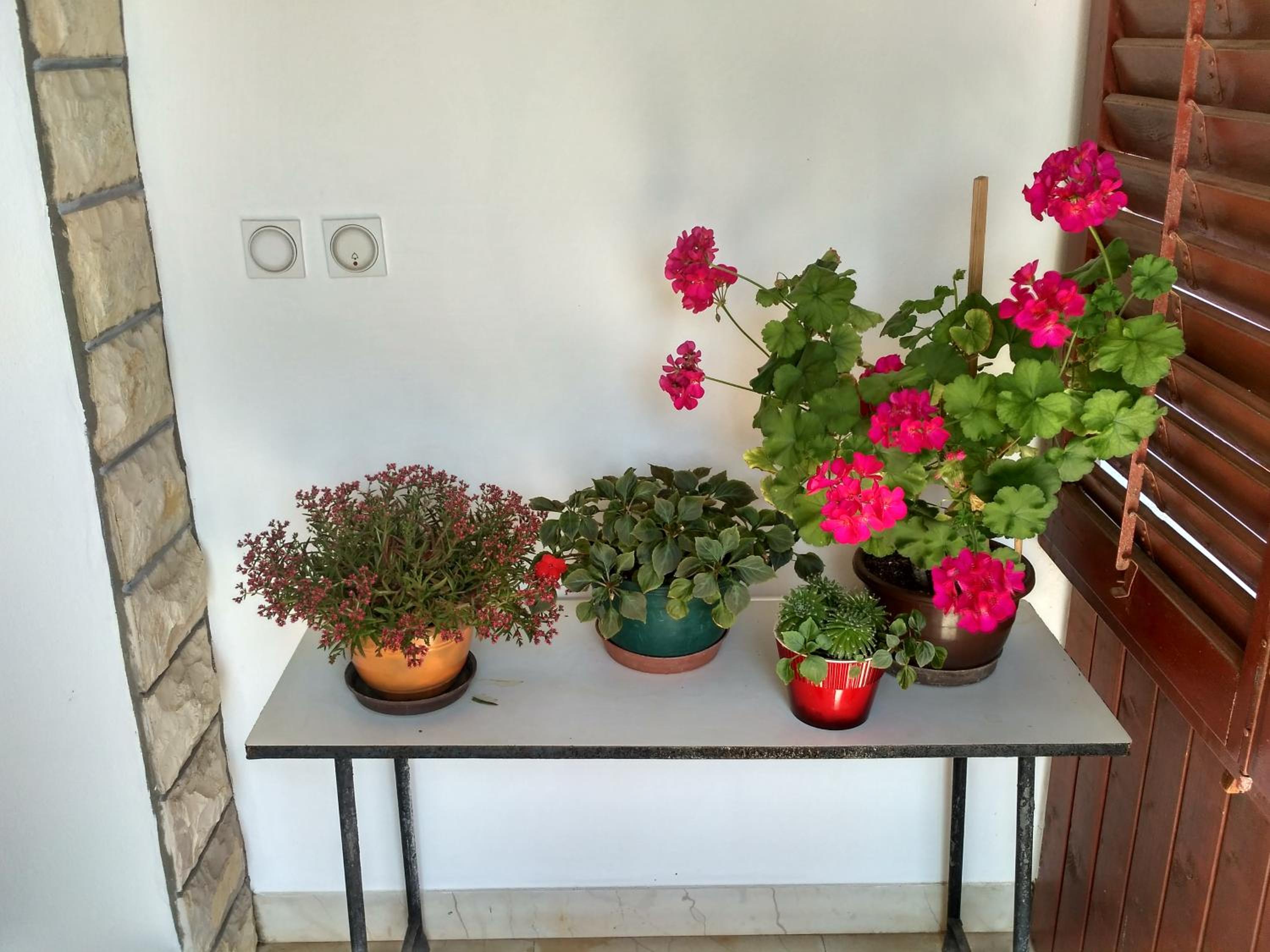 Apartmani Tonica