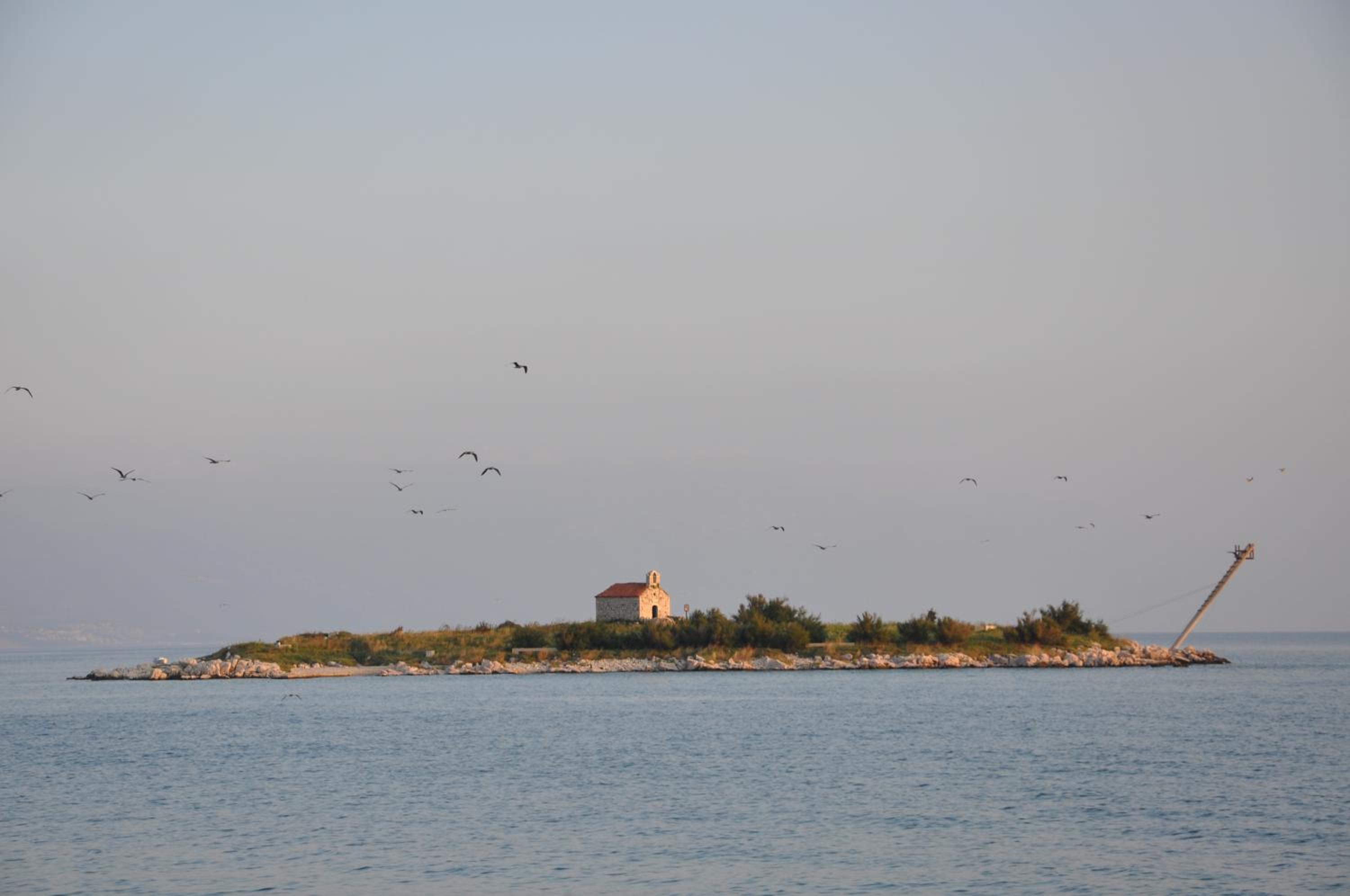 Photo 49