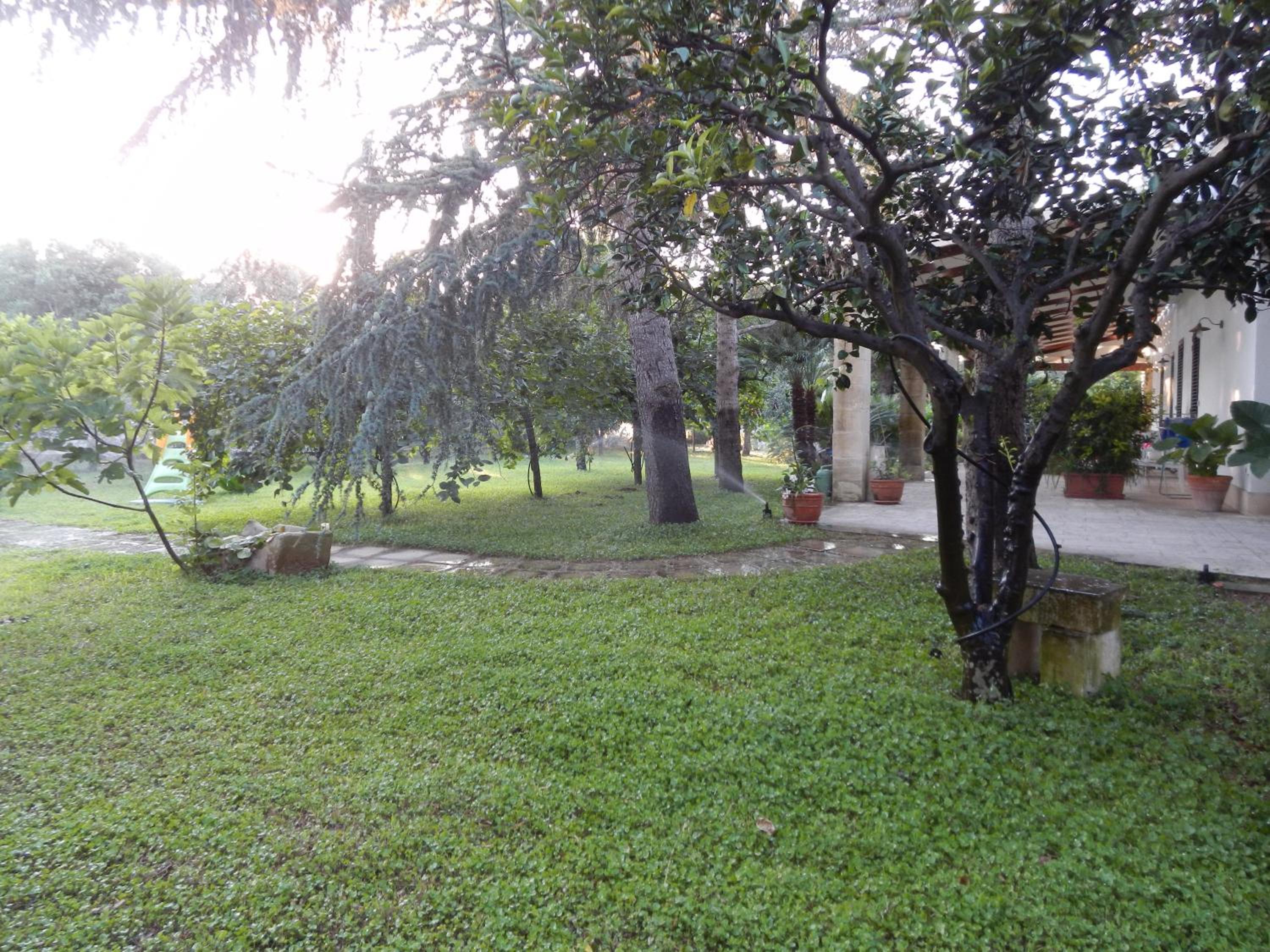 Photo 40