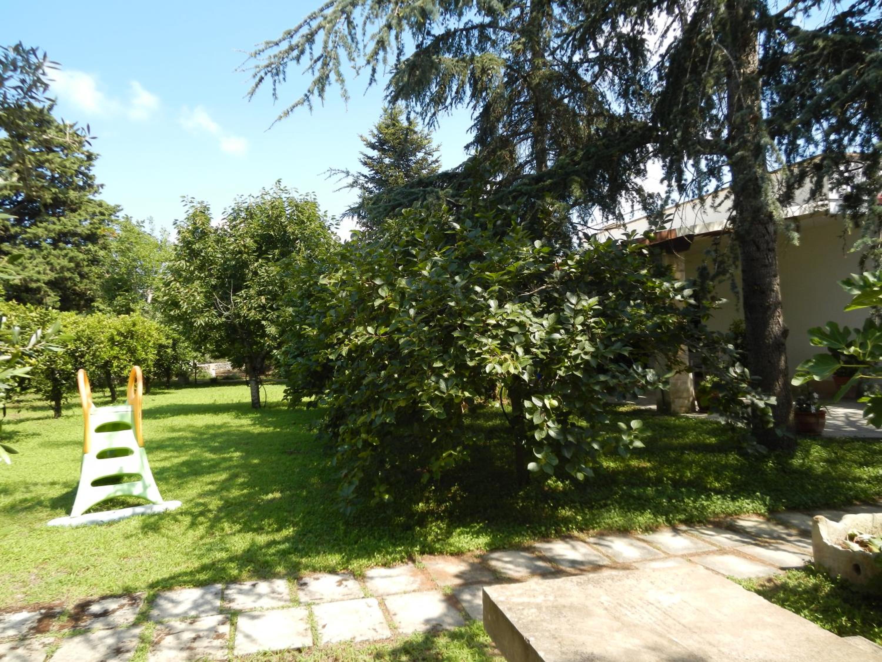 Photo 33