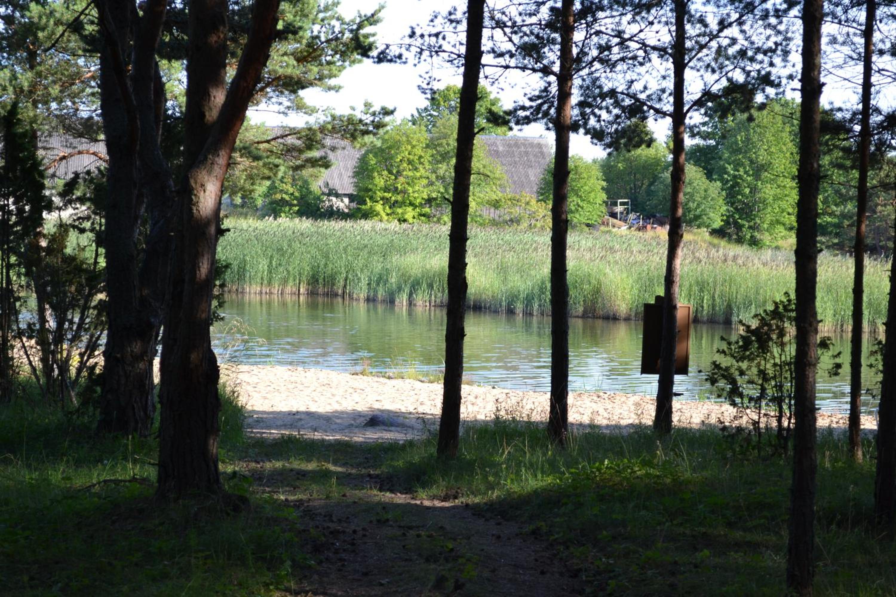 Photo 6