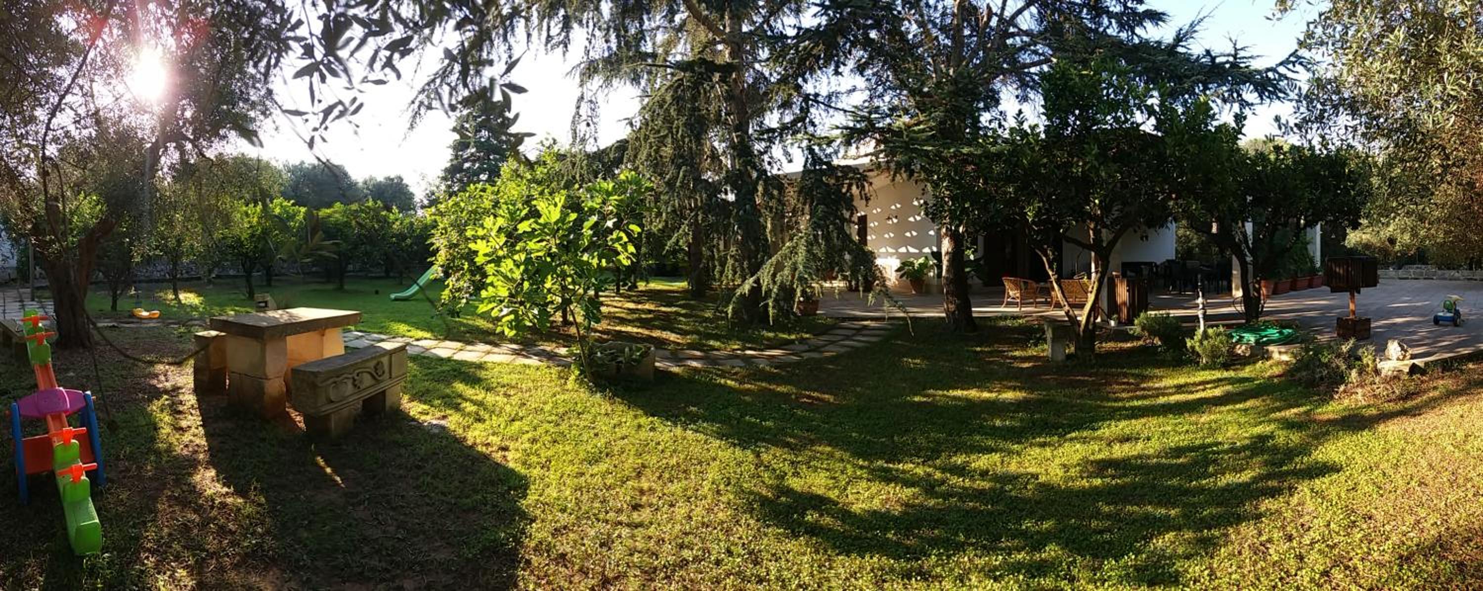 Photo 27