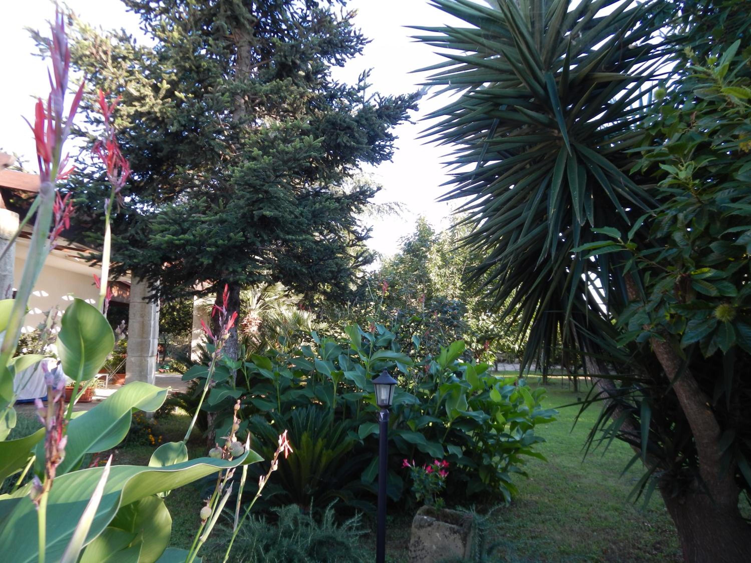 Photo 24