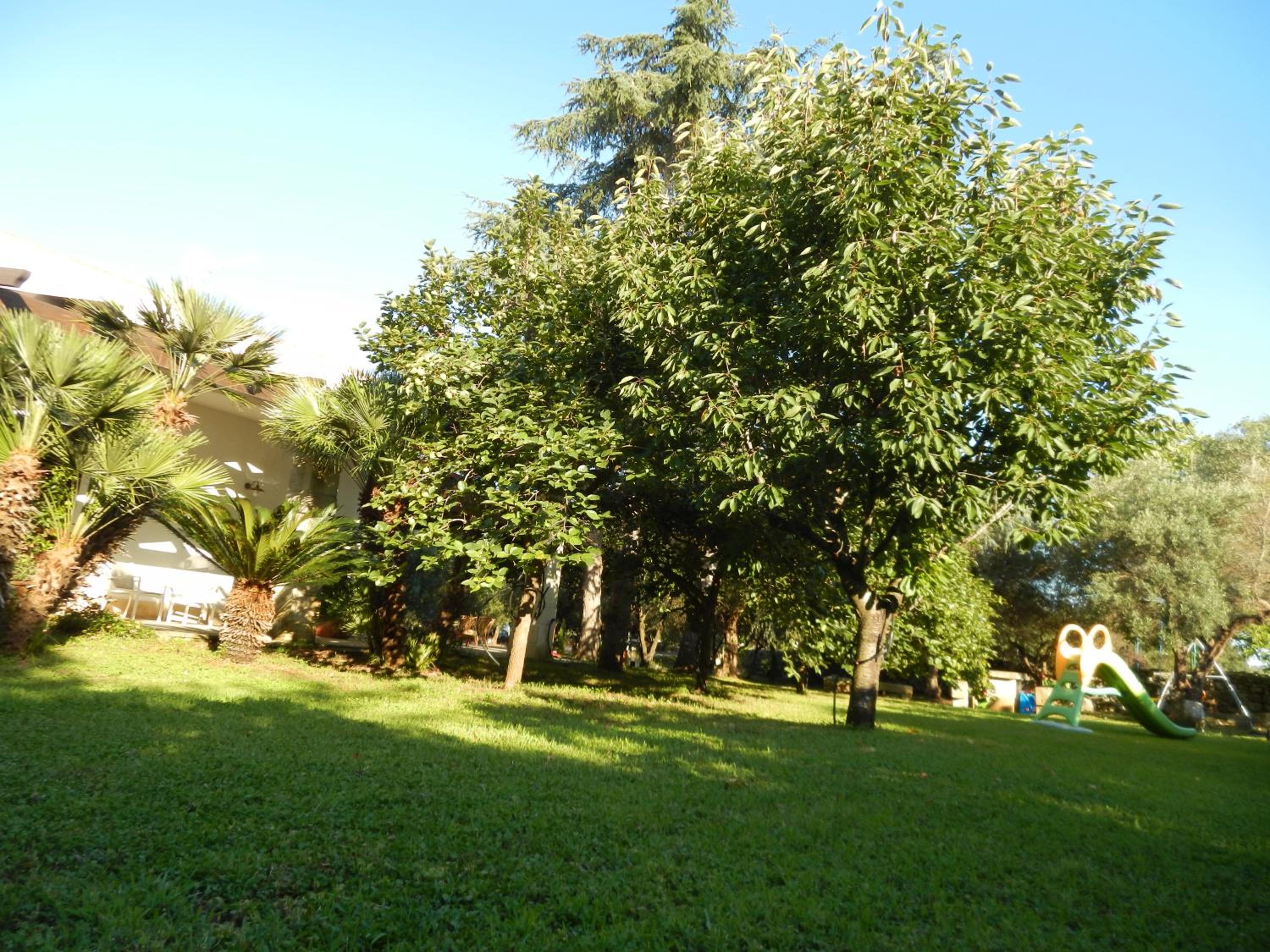 Photo 30