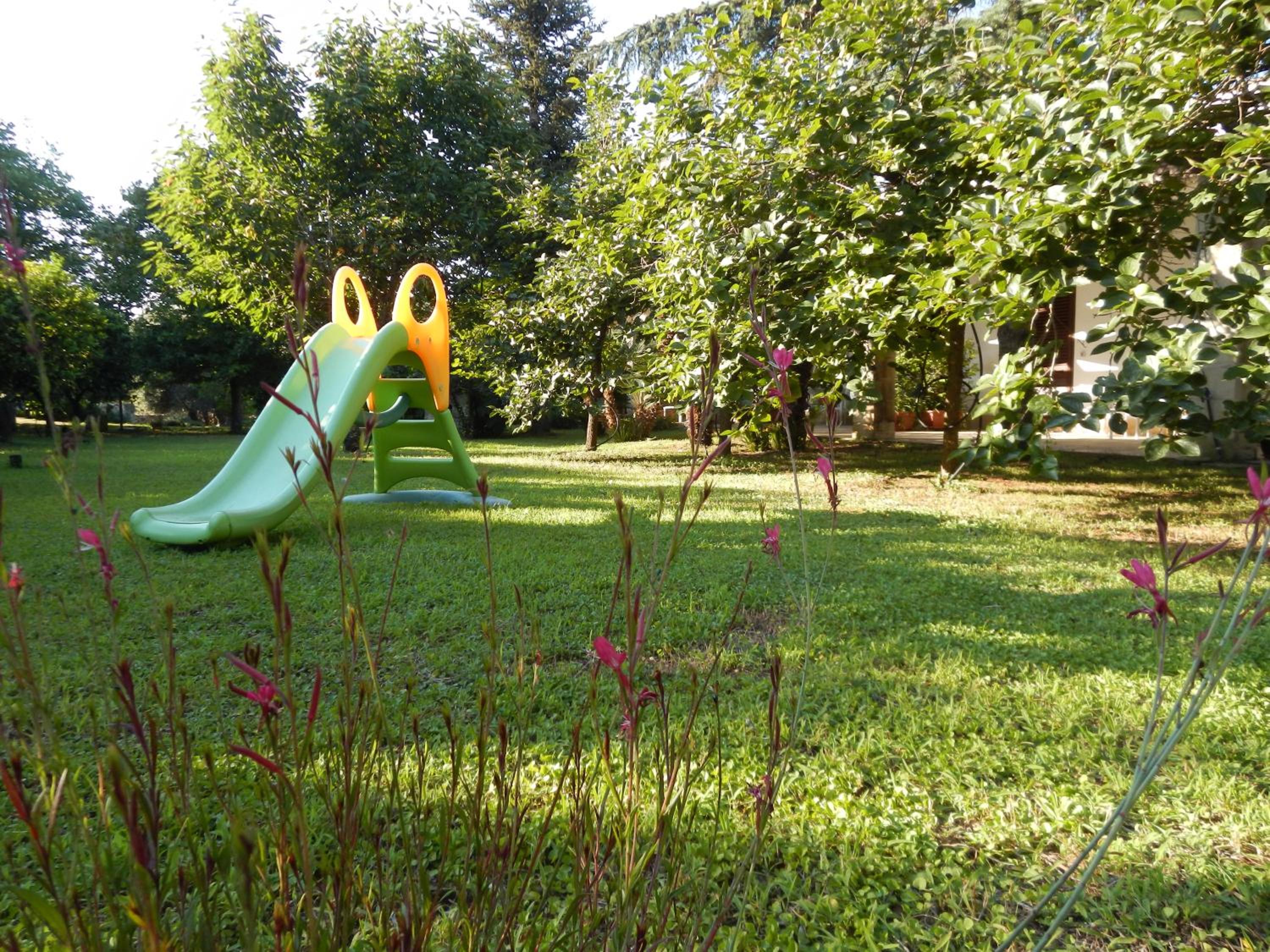 Photo 31