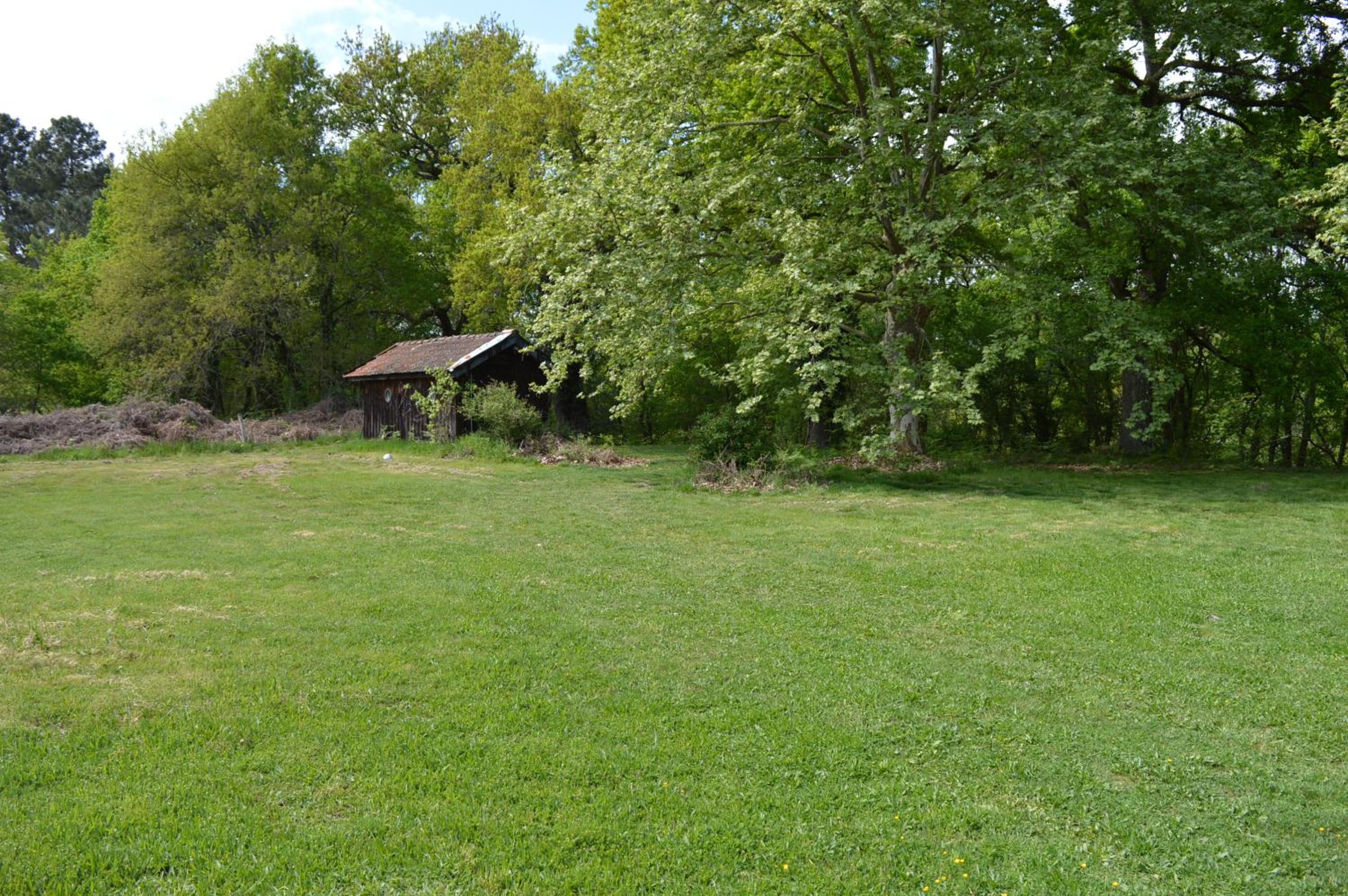 Cabane en forêt view 2
