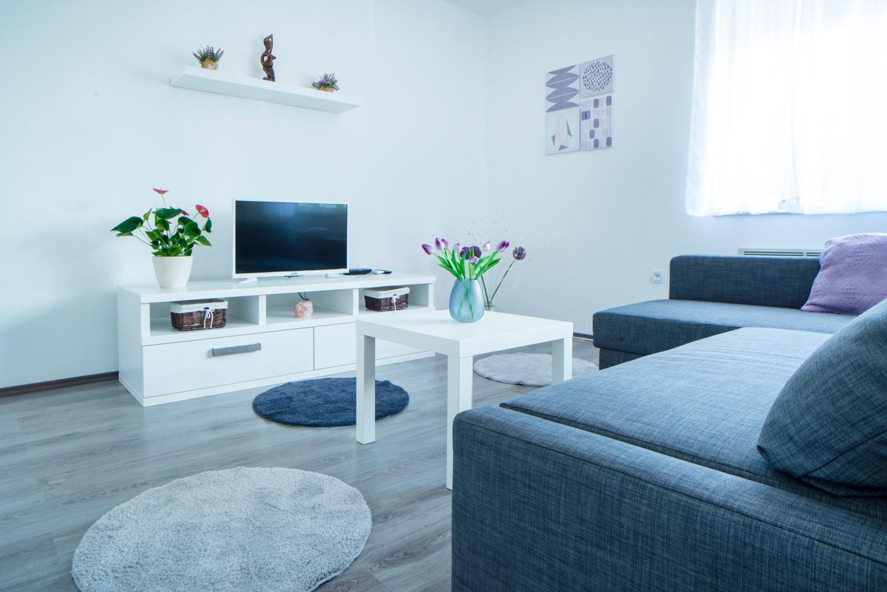 Apartman Višnja view 4
