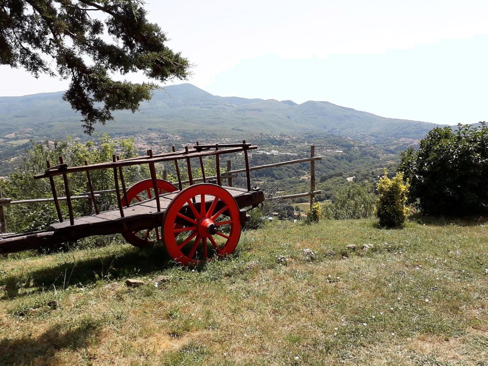 Agriturismo "Apparitoio" view 3