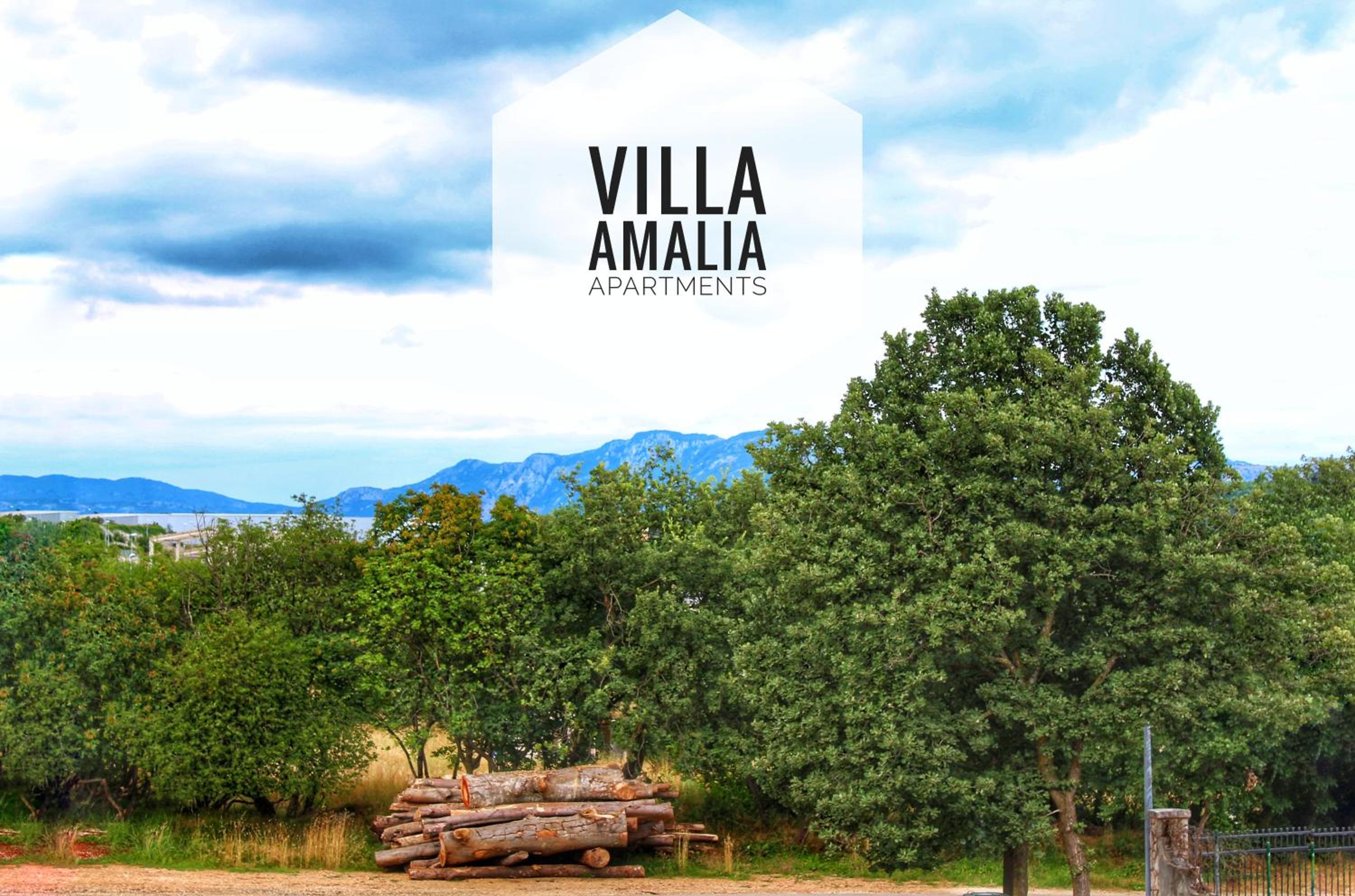 Apartment Amalia view 5
