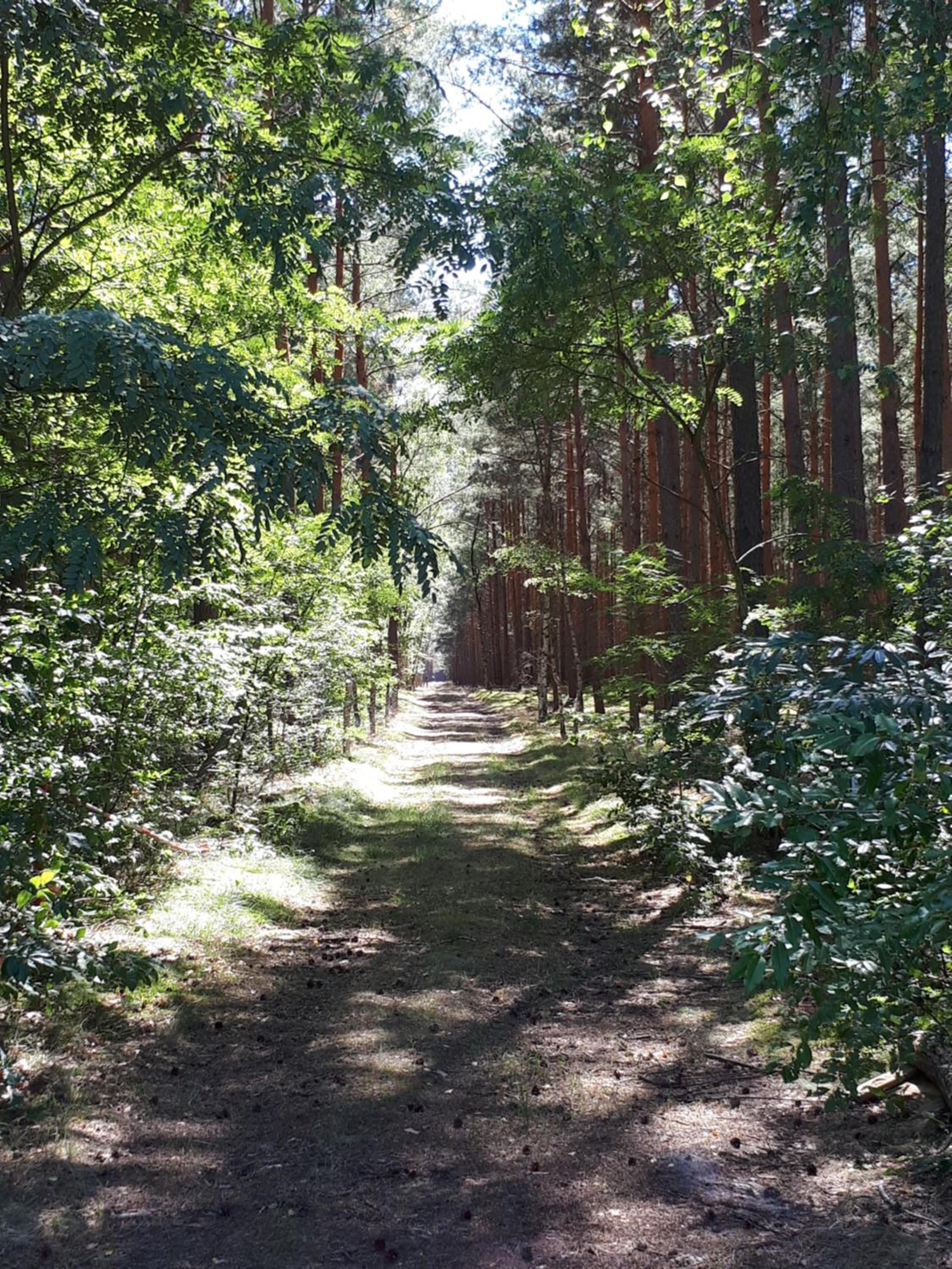 Ferienidyll Alte Eichen