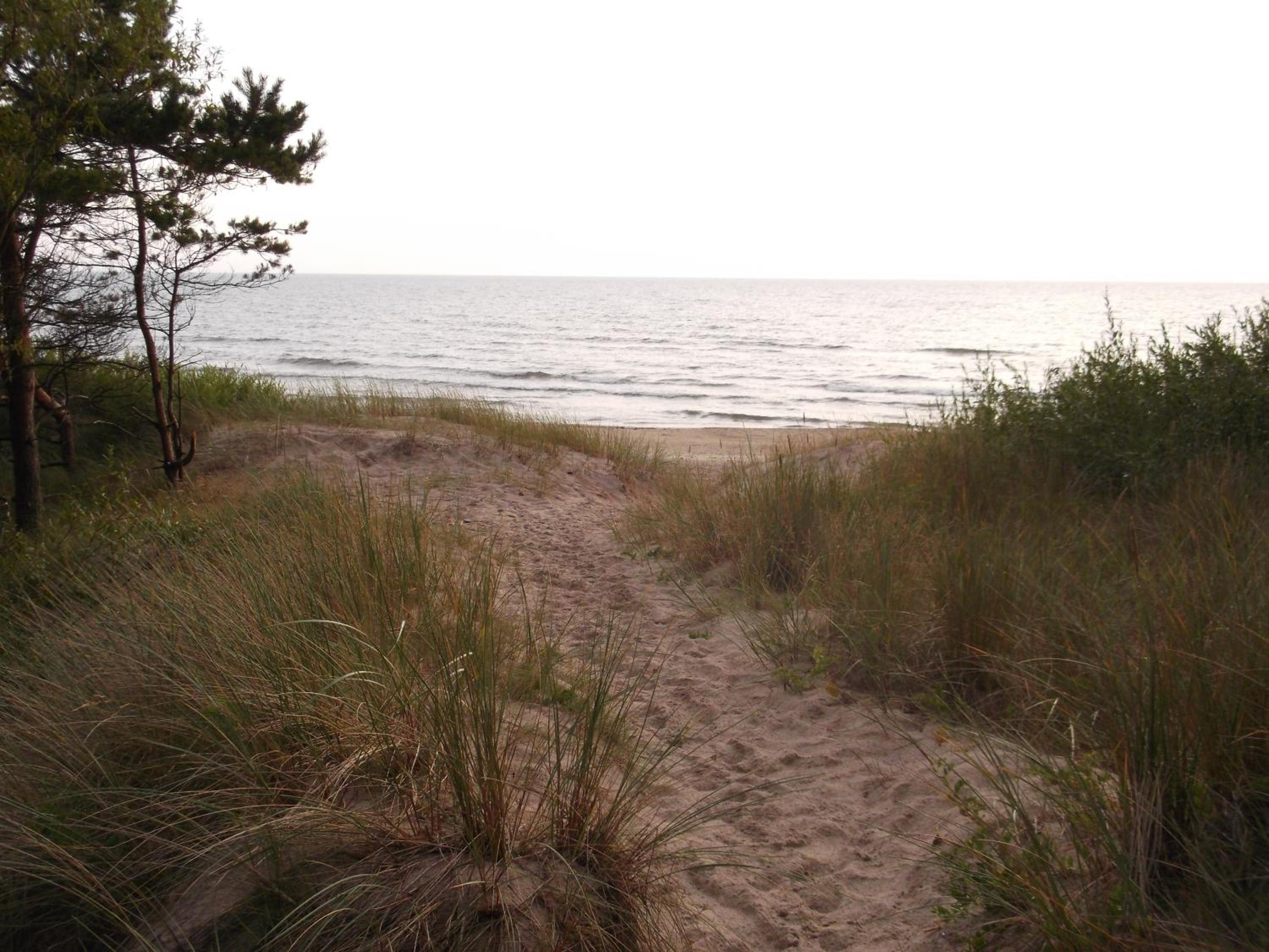 Kunigiskes103 en Palanga