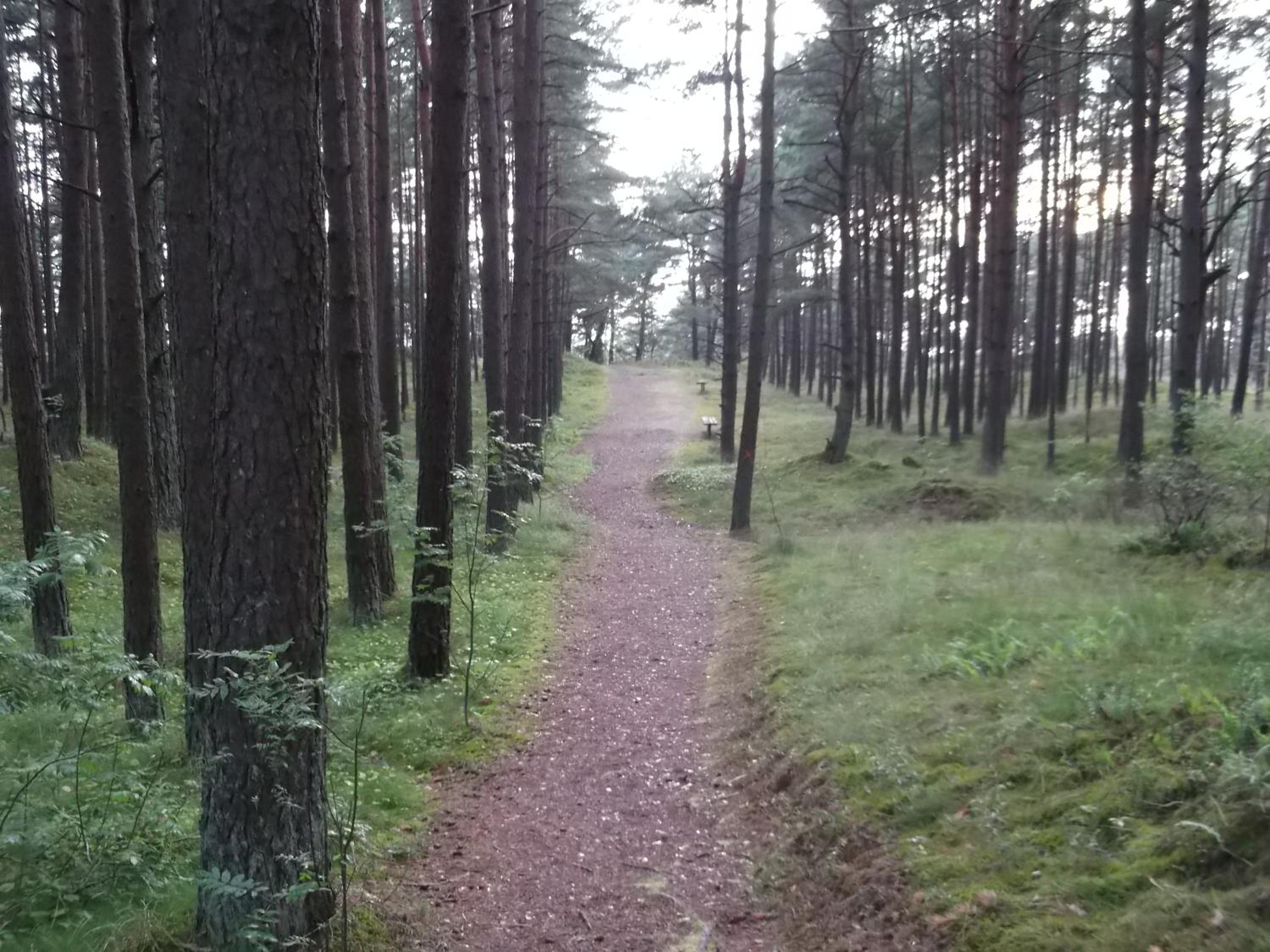 Kunigiskes103 en Palanga