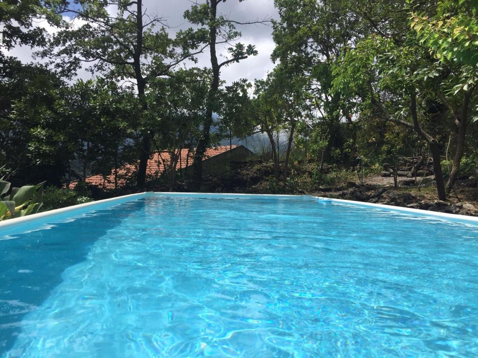 Hotel Hassin Cottage