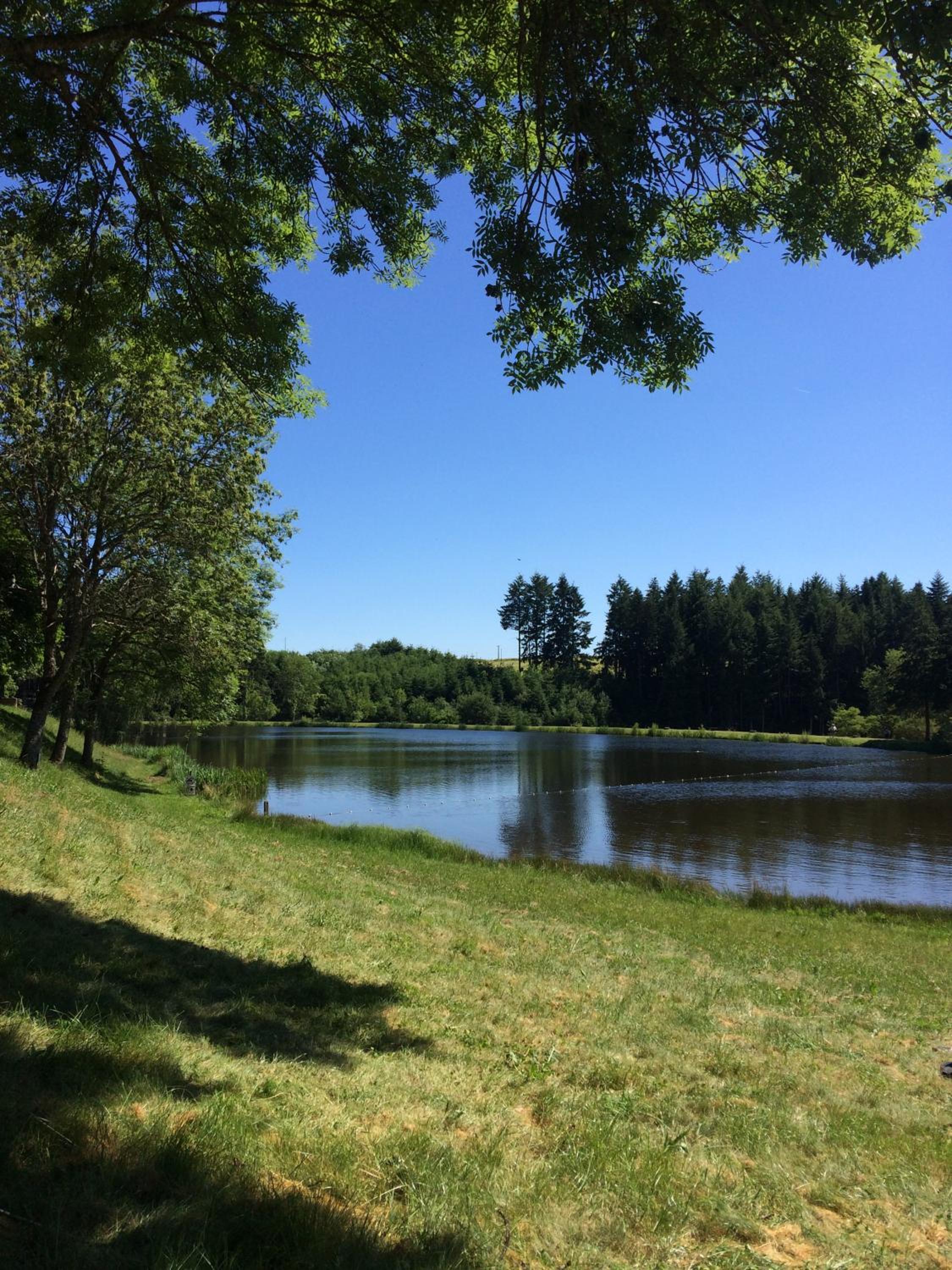 GITE DES 3 ETANGS view 5