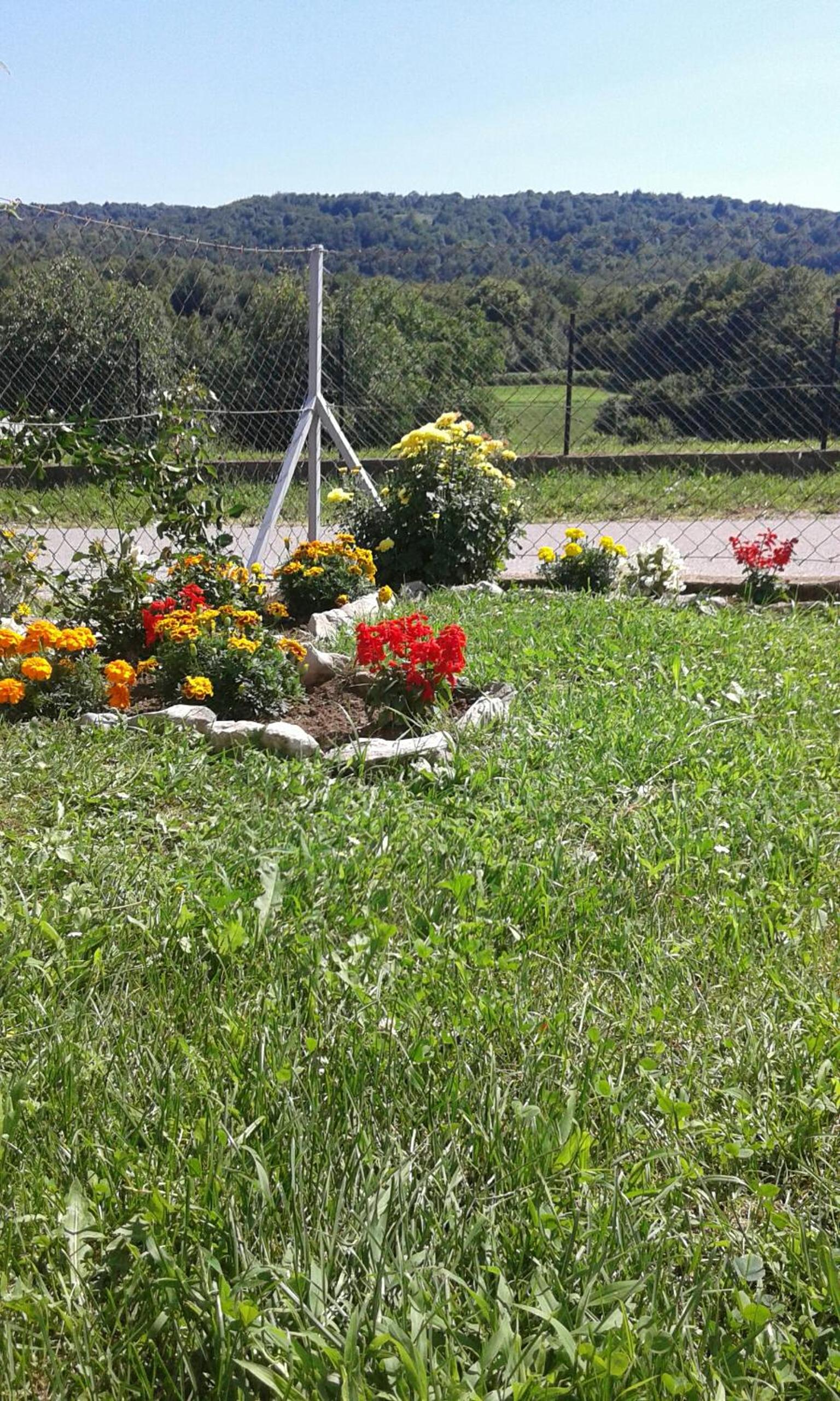 Photo 23