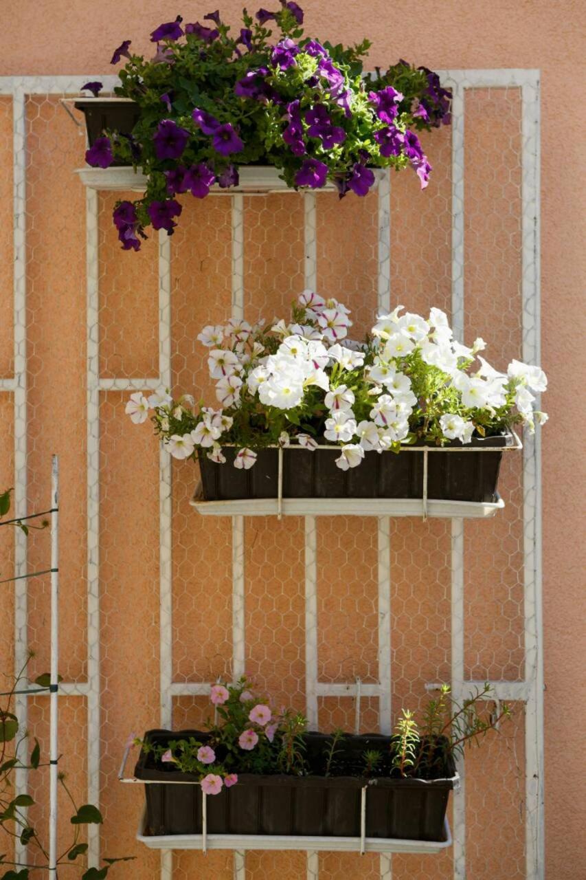 Apartmani Isabella