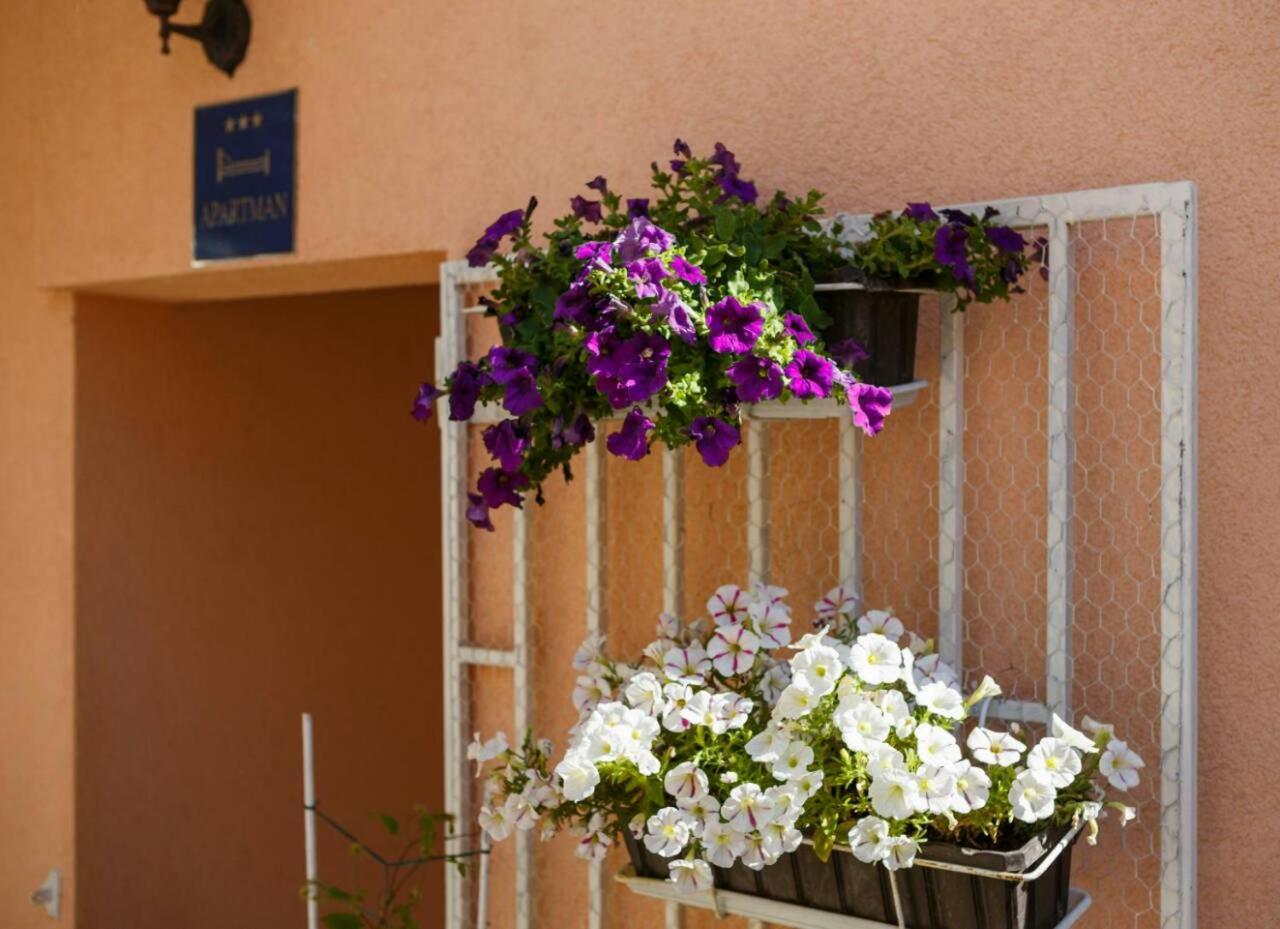 Apartmani Isabella
