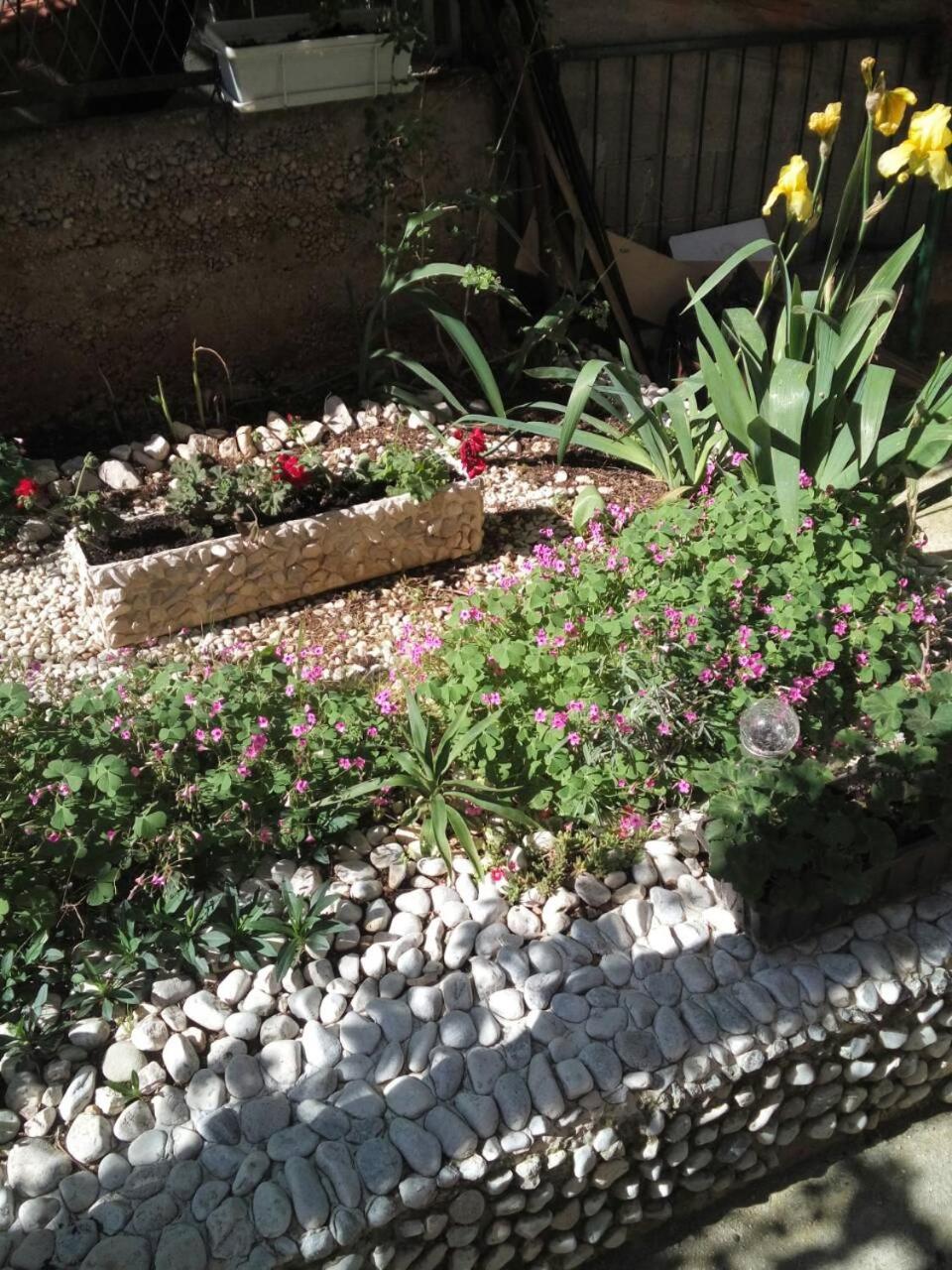 Apartmani Isabella