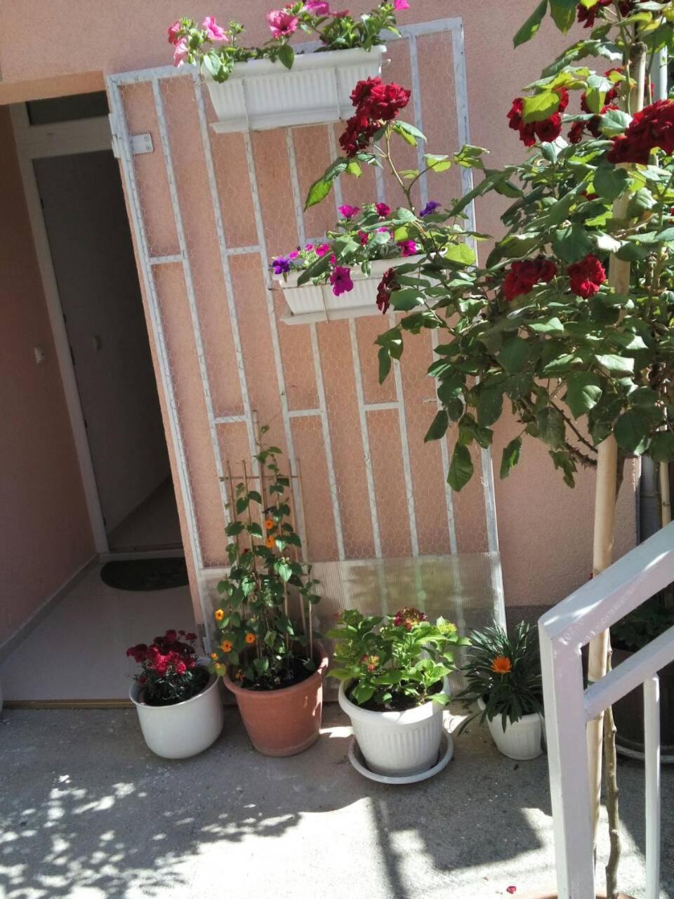 Apartmani Isabella