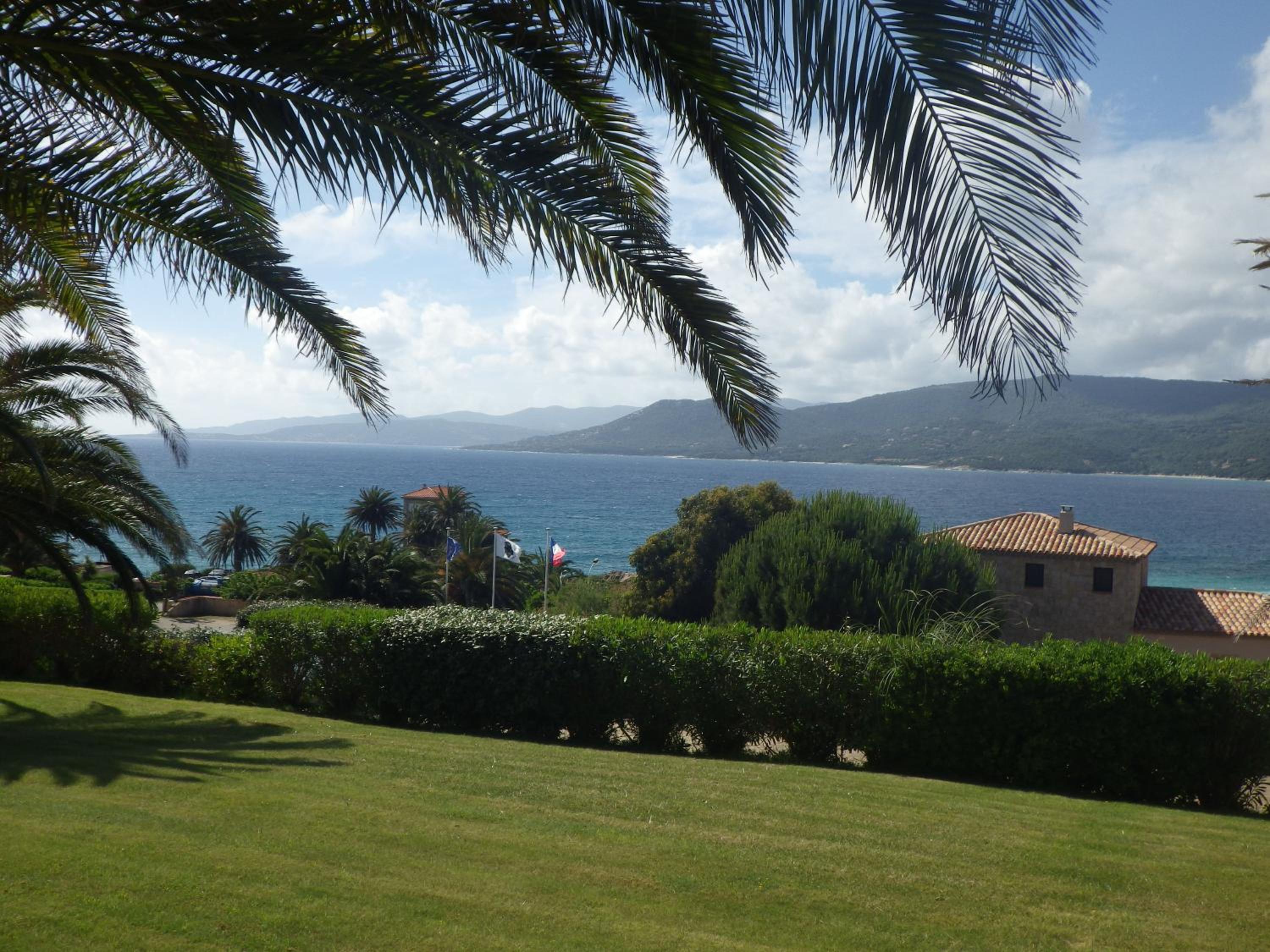 Marina di fiori photo 3