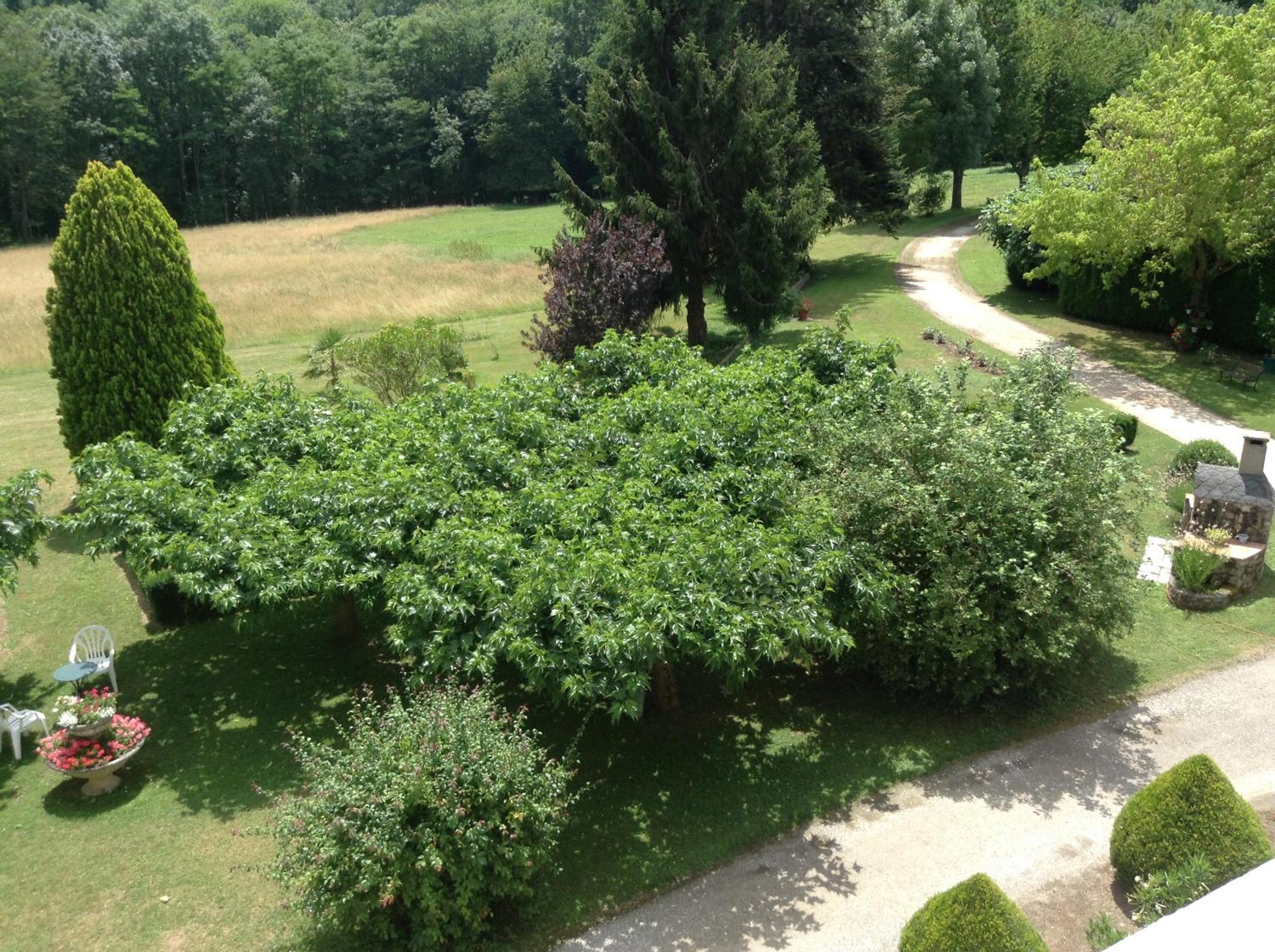 Chateau De Benac en Bénac