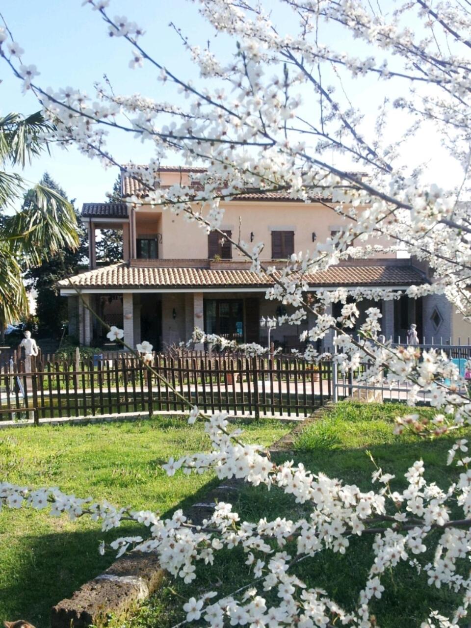 Luconi Affittacamere view 4