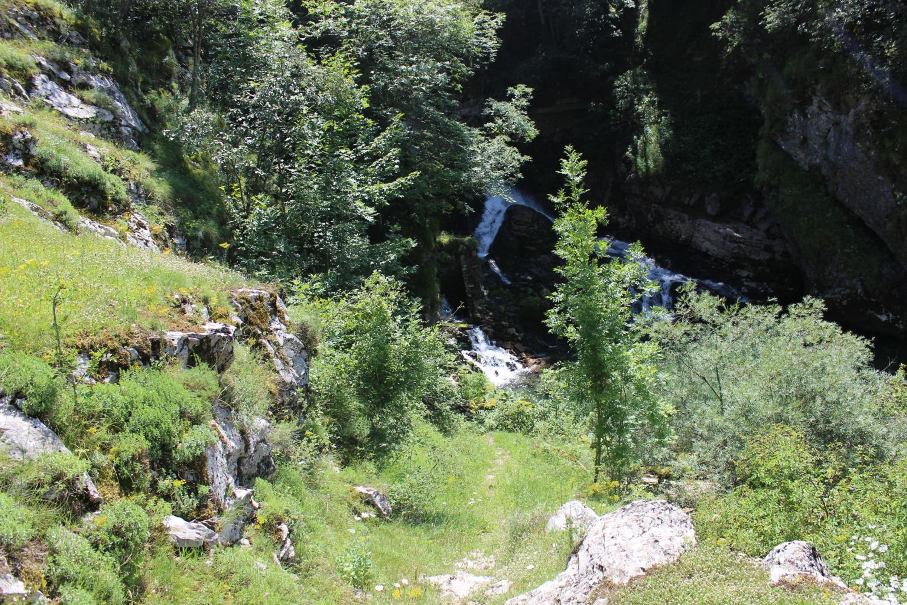 Photo 20