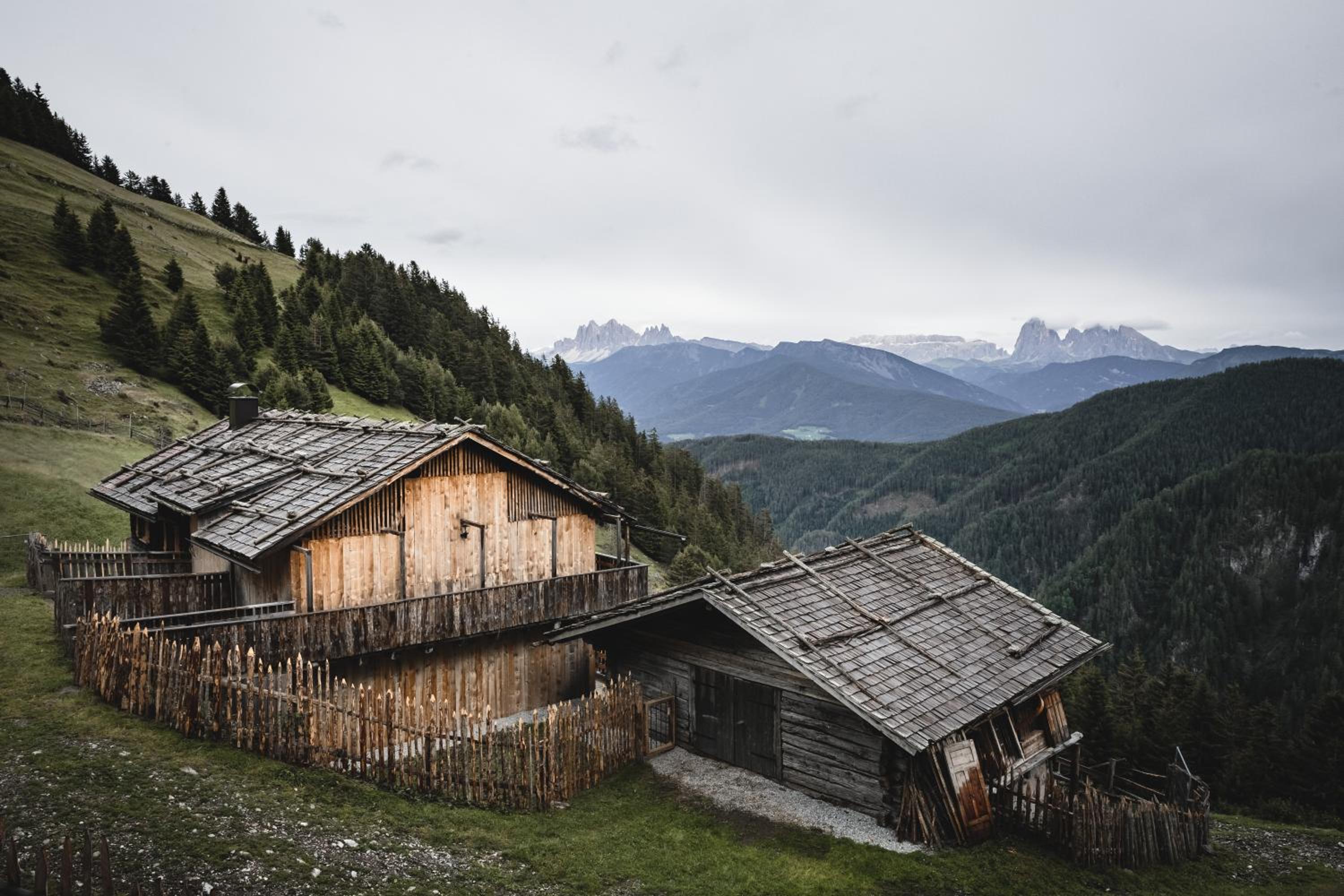 Hirschhof Pfrein - Hideaway view 5