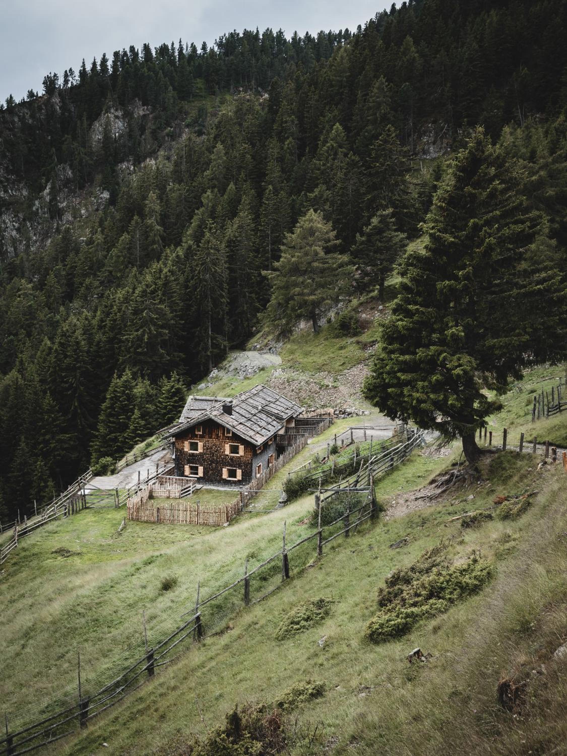 Hirschhof Pfrein - Hideaway view 2