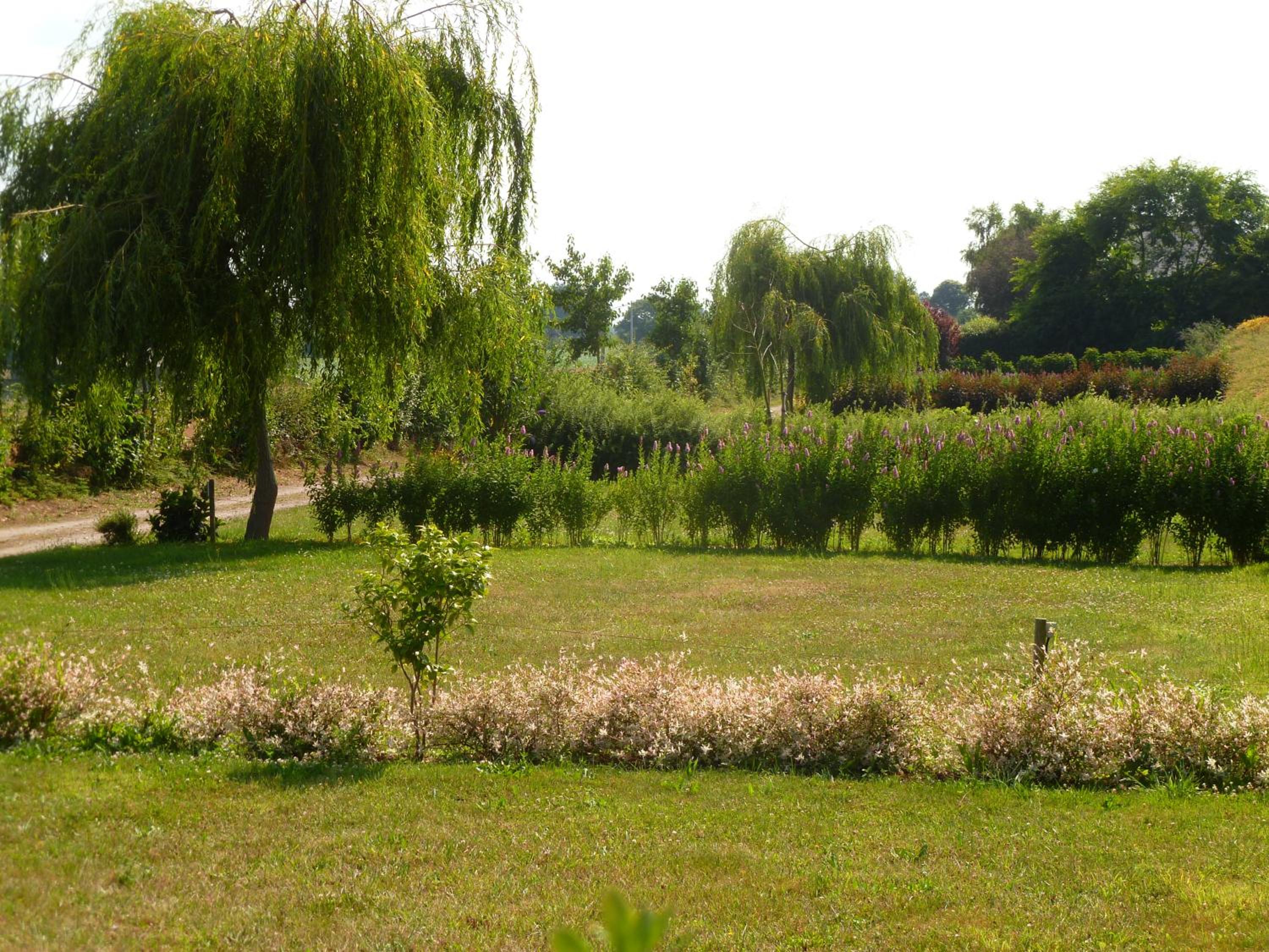 Camping le Frêche à l'Âne