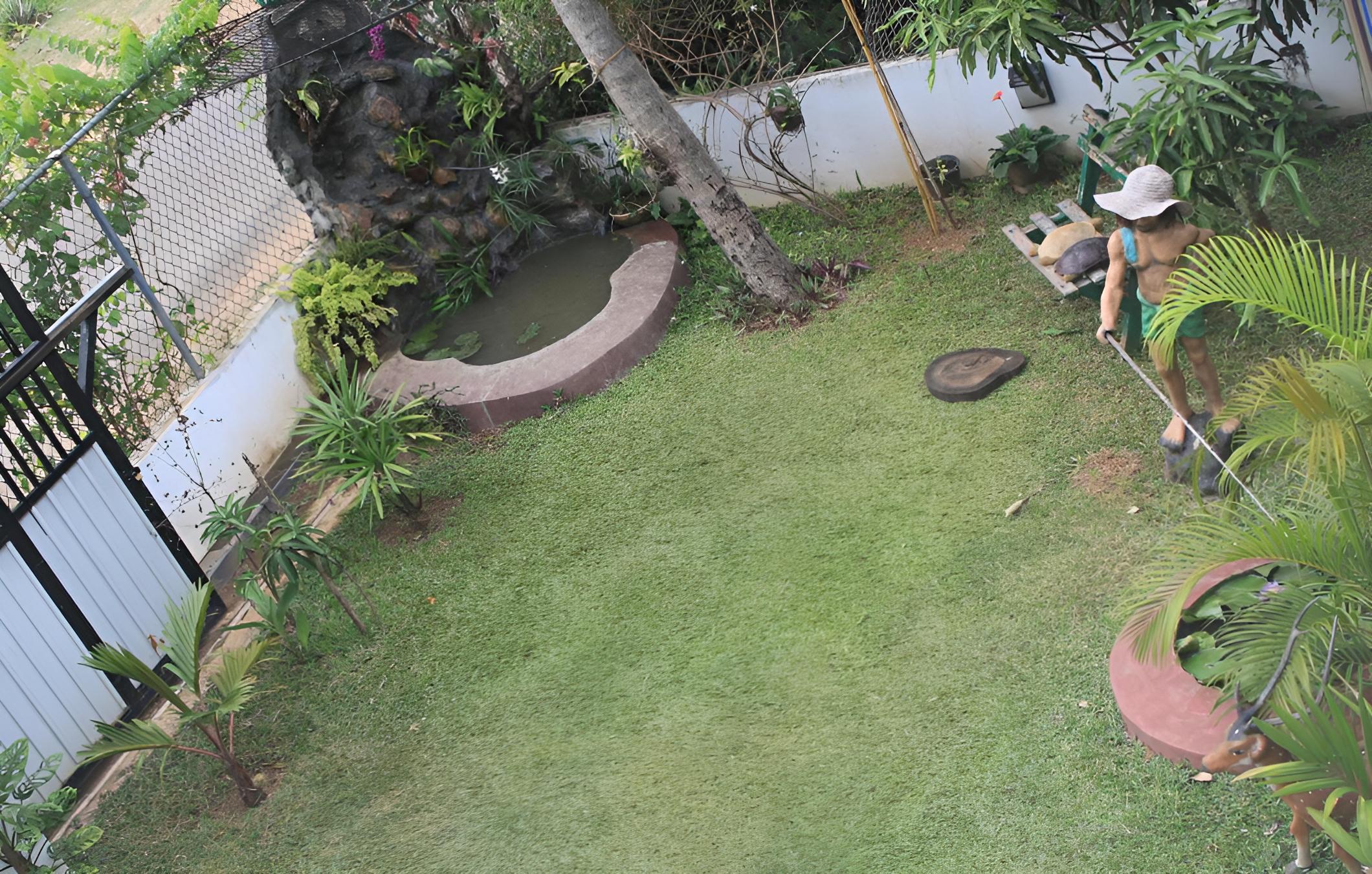 garden