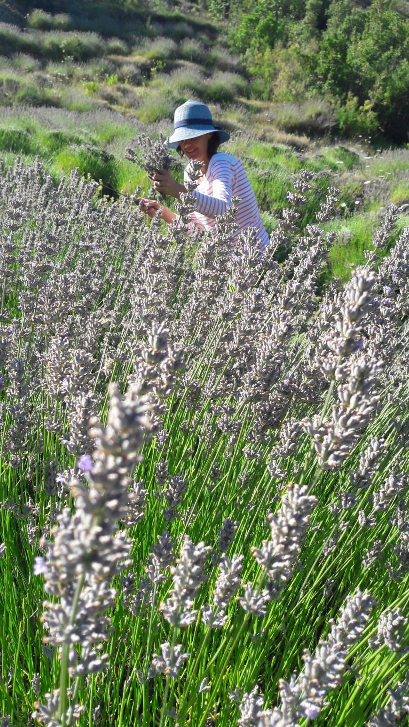 Photo 24