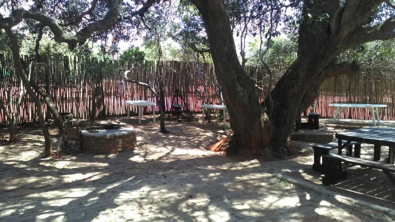 Photo 6
