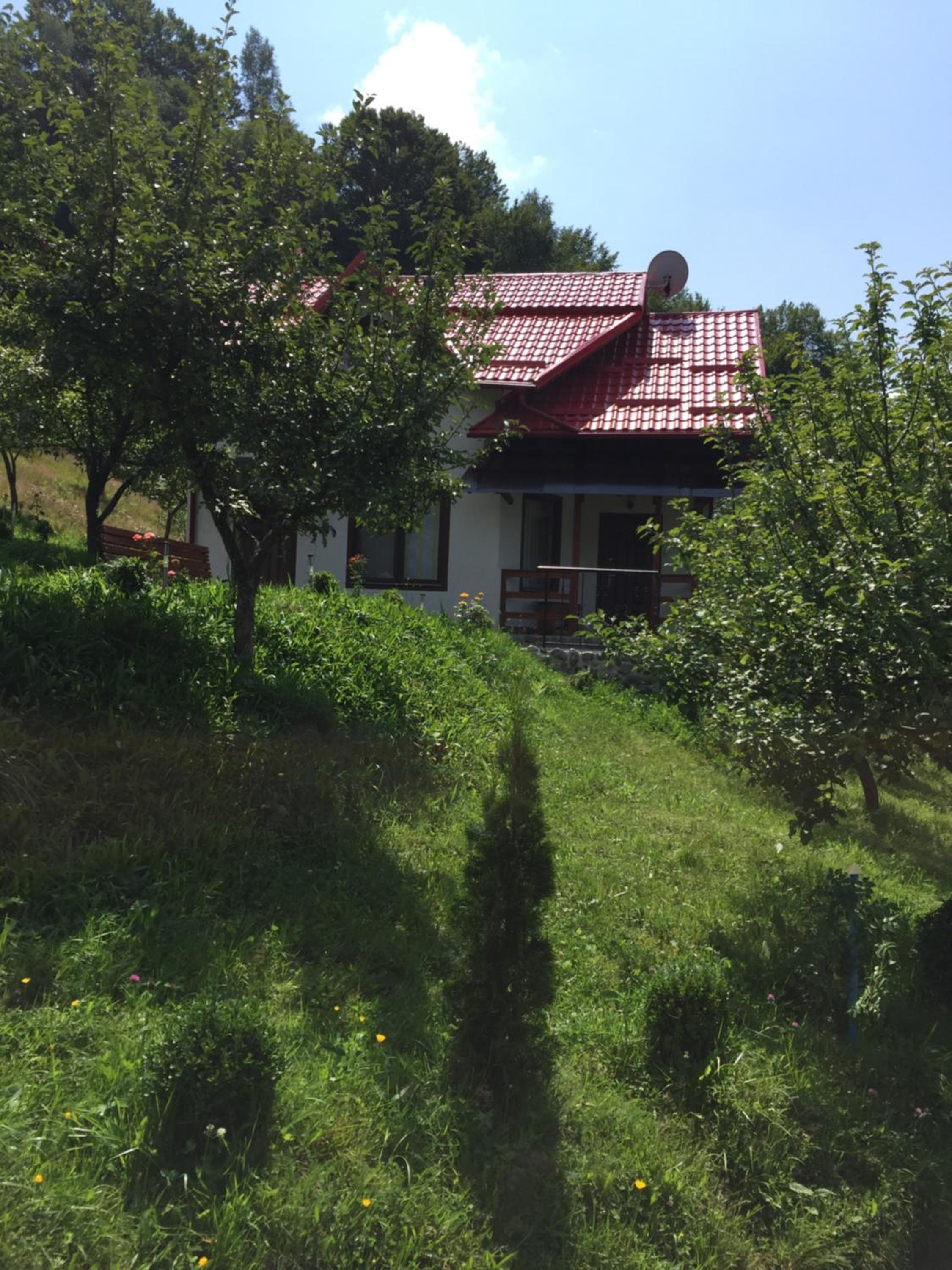 Photo 25