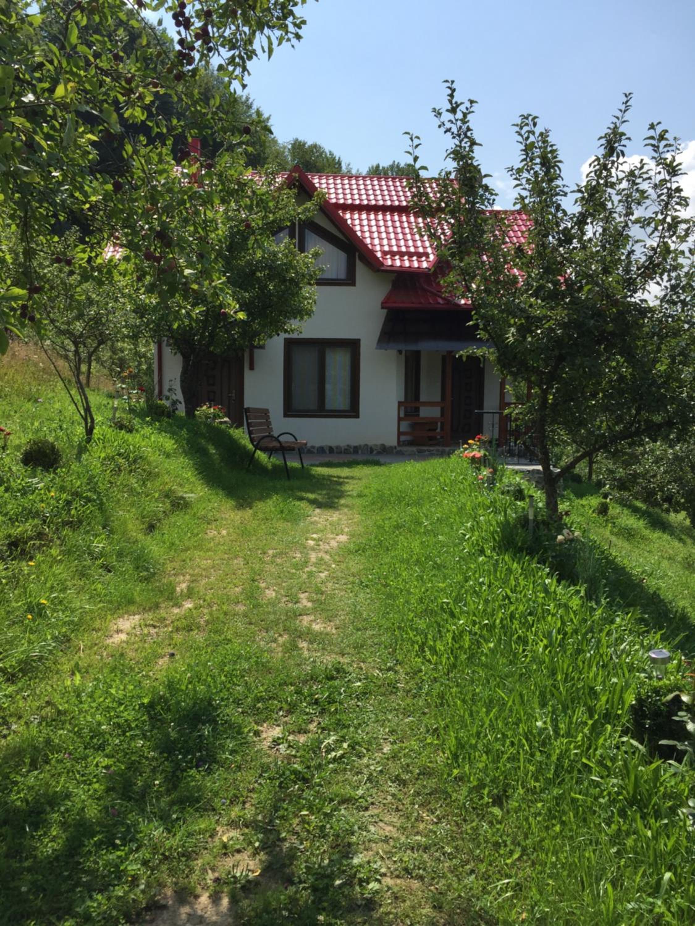 Photo 26
