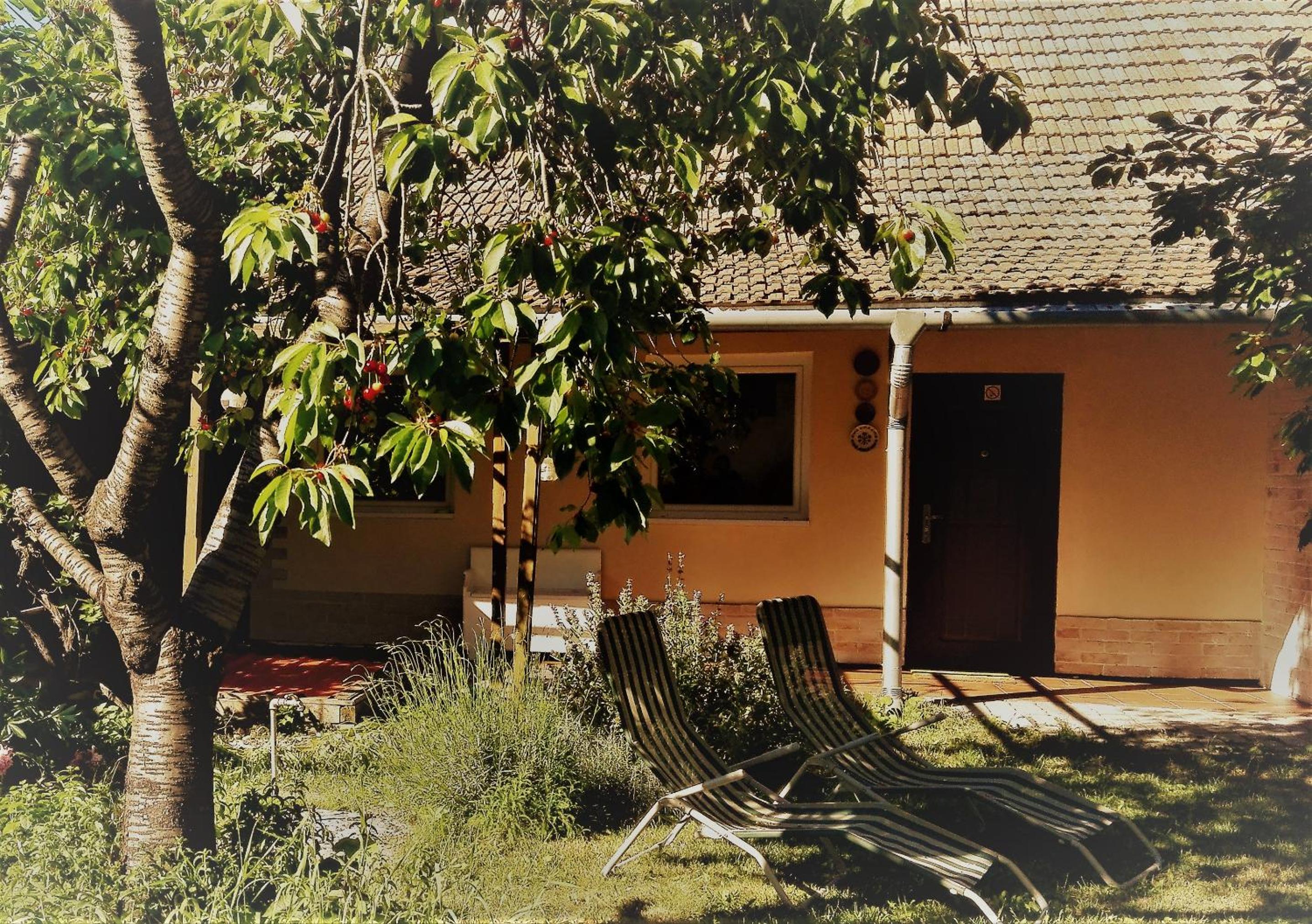 Alföldi Vendégház view 5