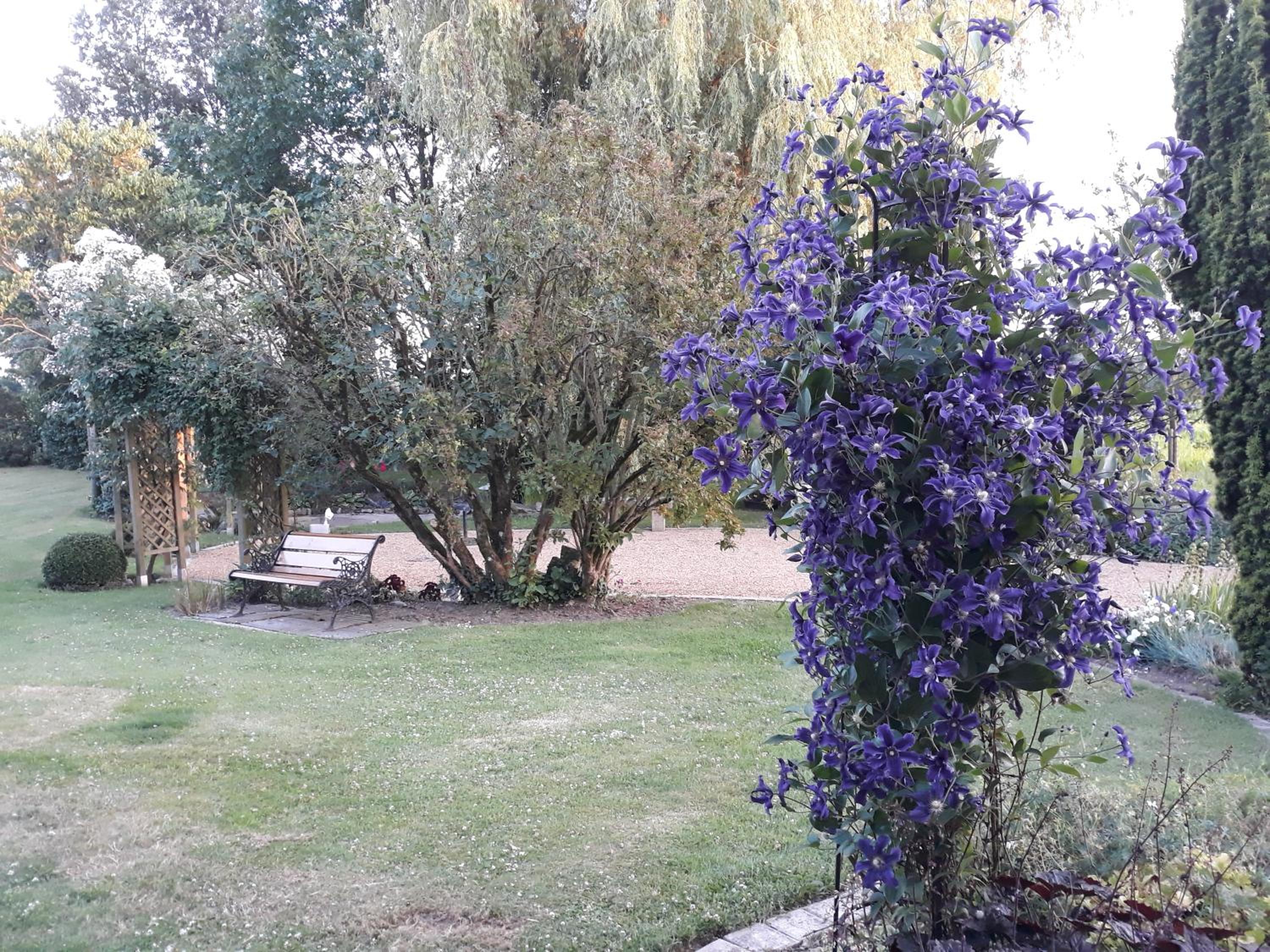 Photo 11