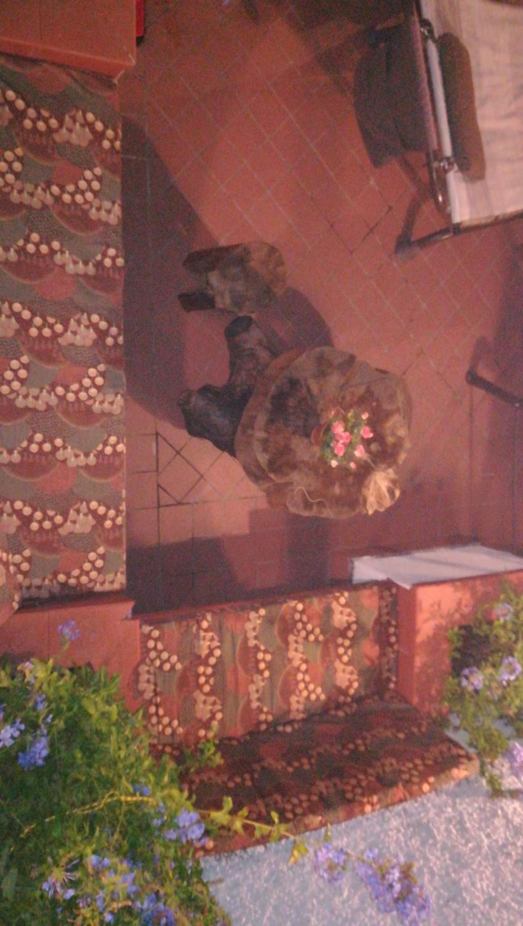 Photo 51