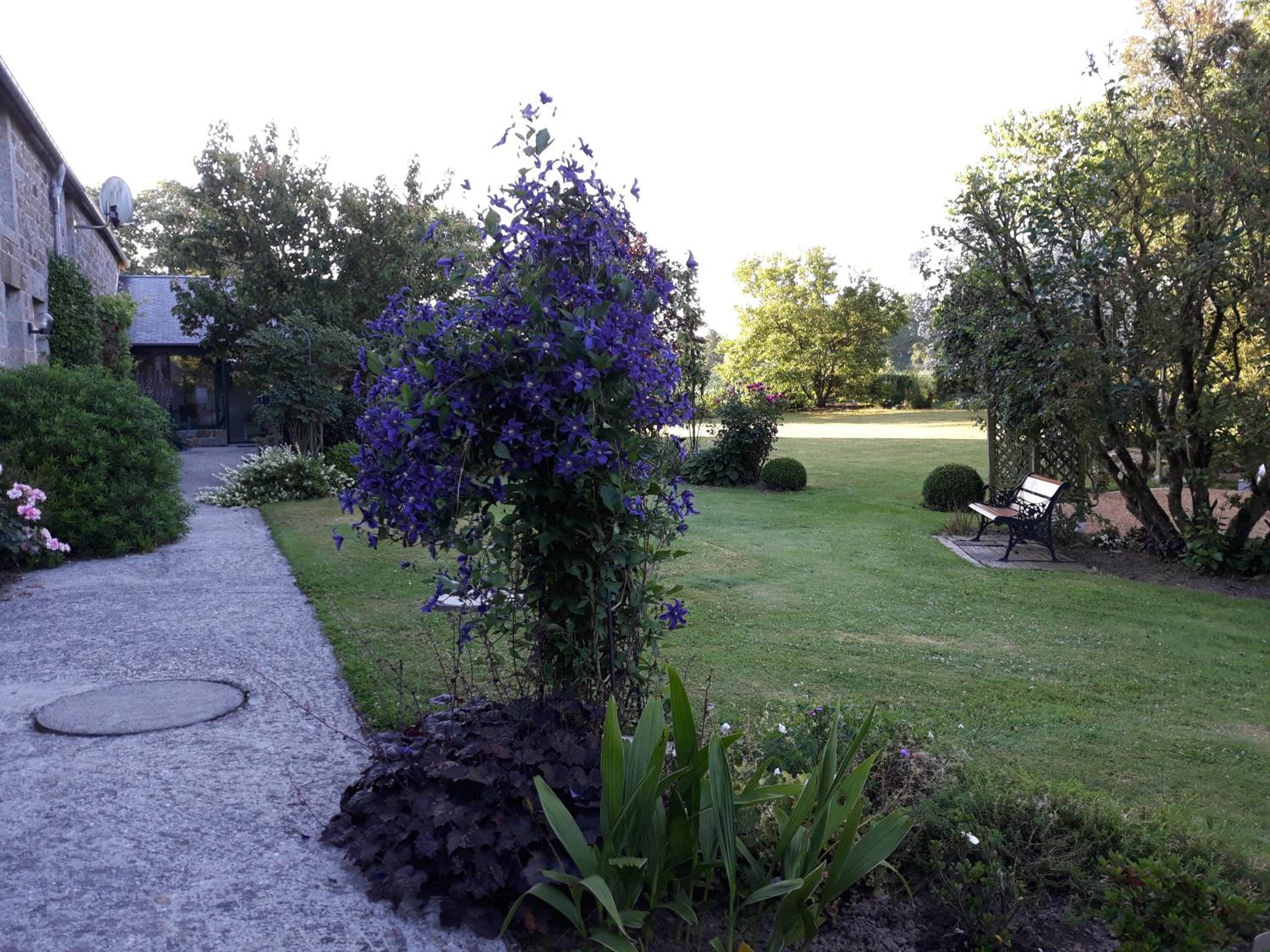 Photo 9